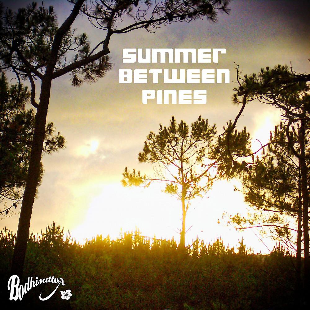 Постер альбома Summer Between Pines