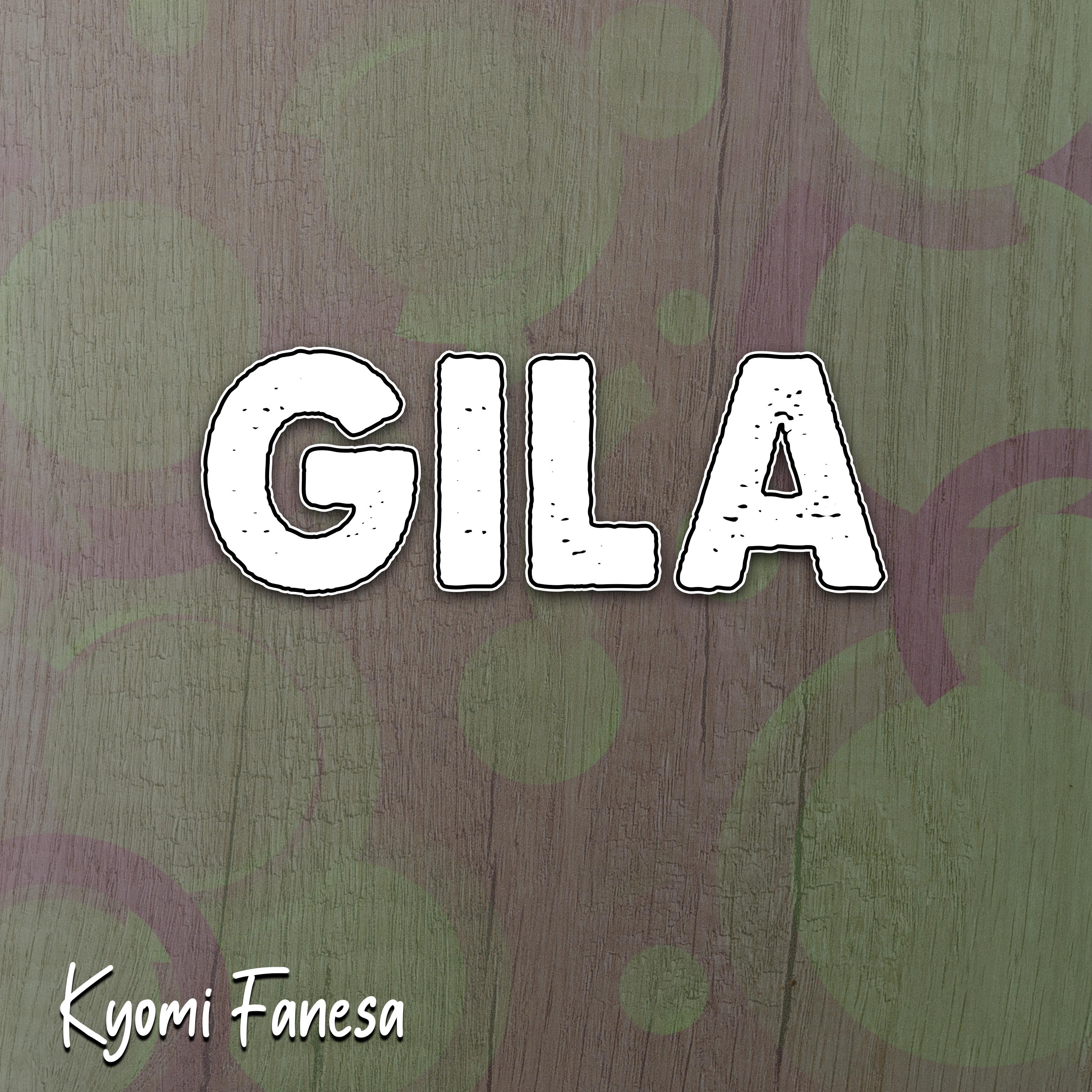 Постер альбома Gila