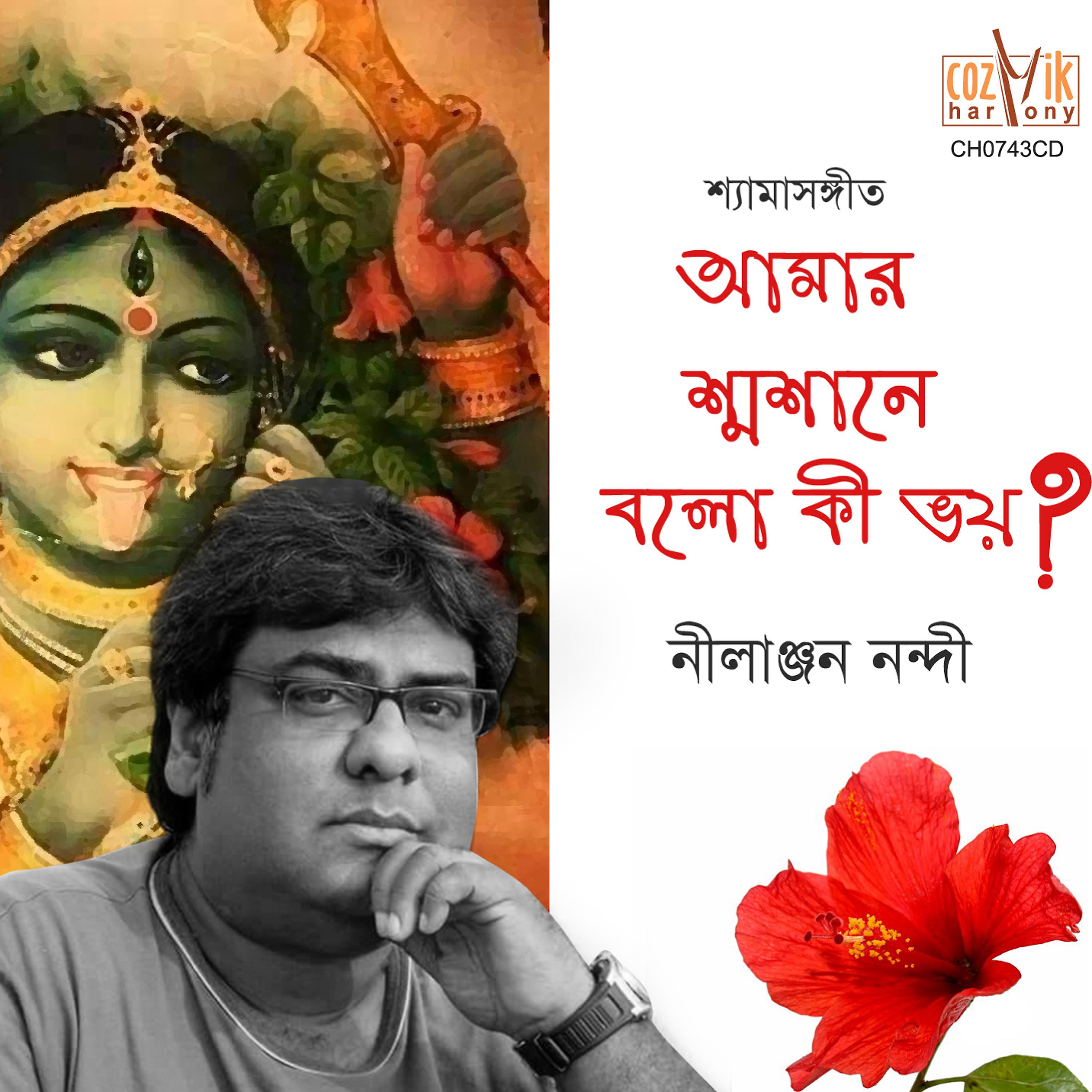 Постер альбома Aamar Samsane Bolo Ki Bhoy