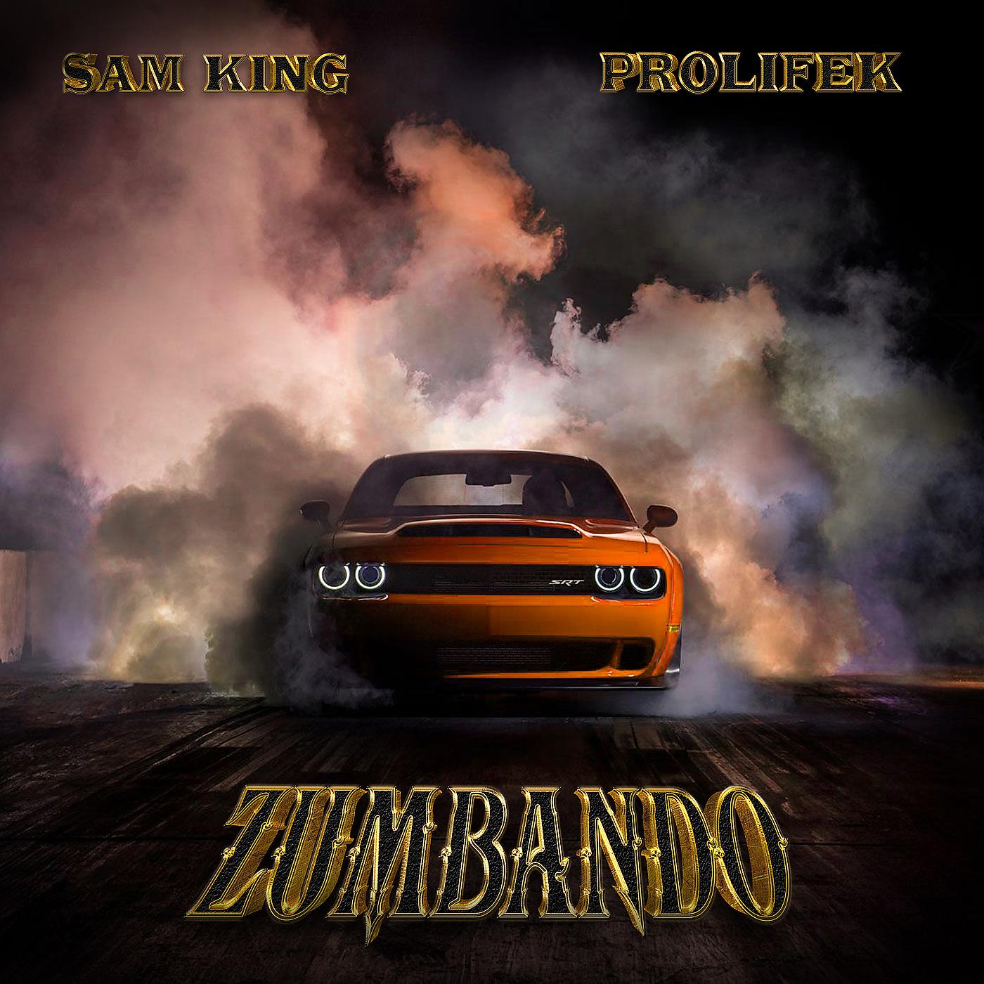 Постер альбома Zumbando