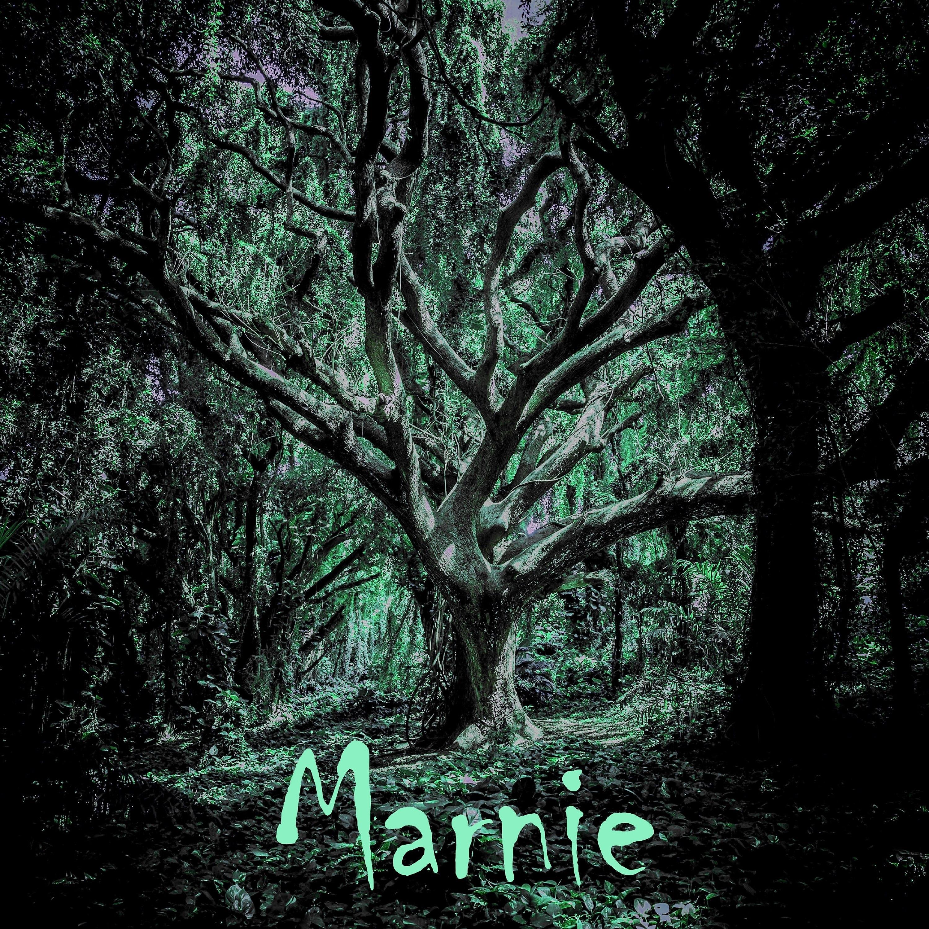 Постер альбома Marnie