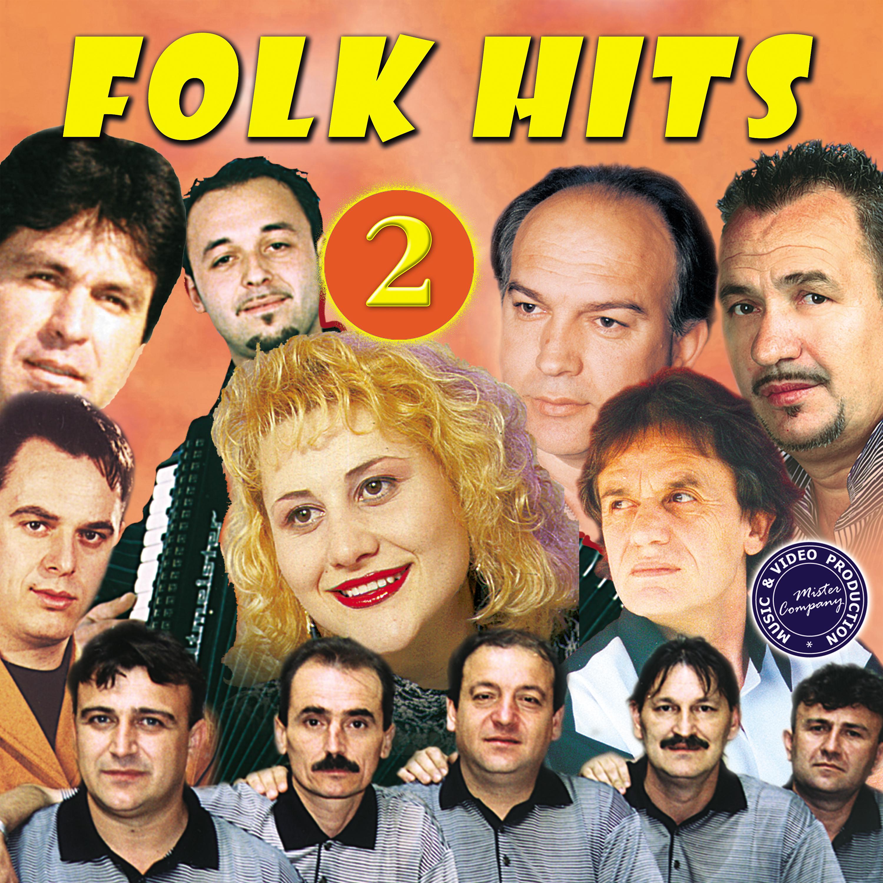 Постер альбома Folk Hits, Vol. 2