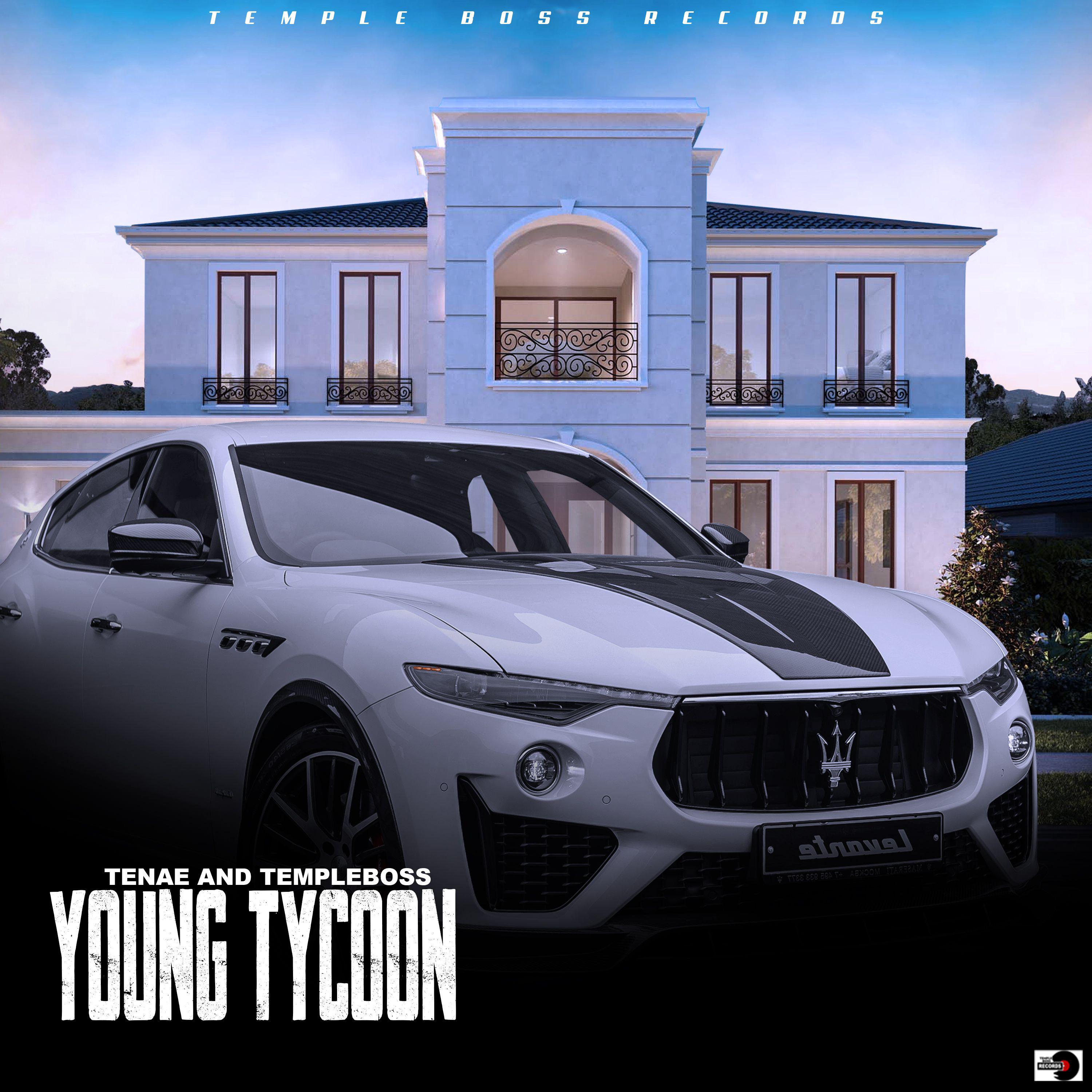 Постер альбома Young Tycoon