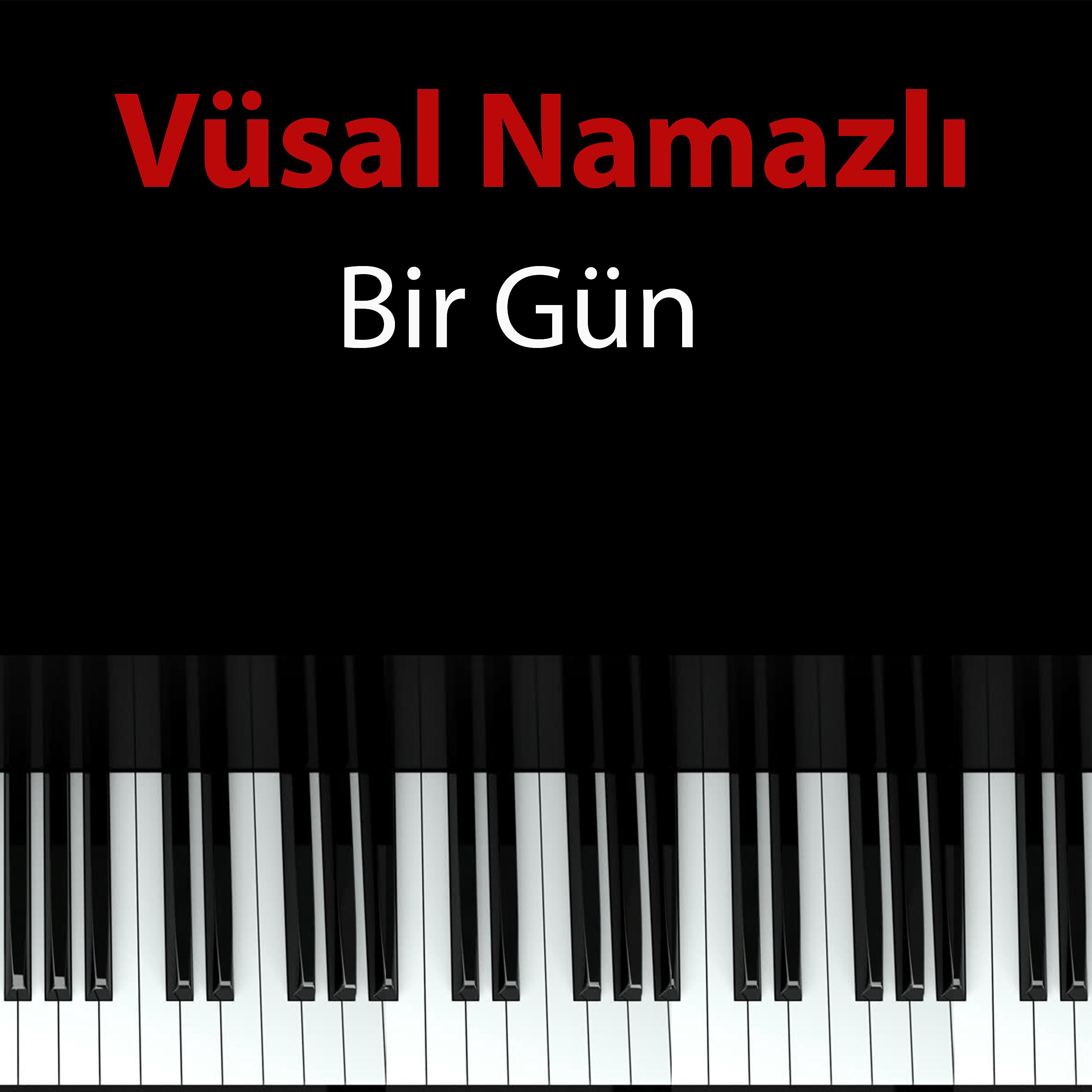 Постер альбома Bir Gün