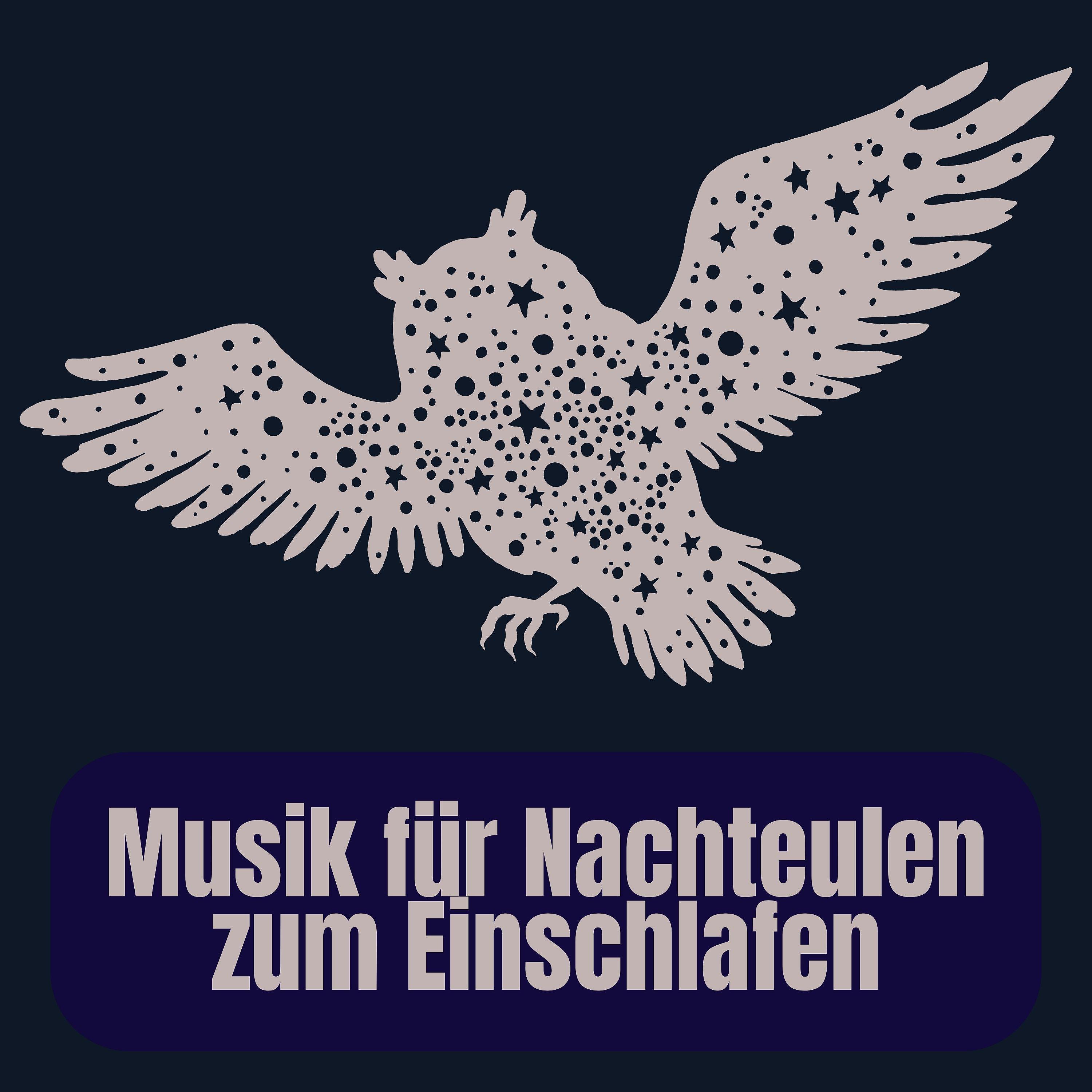 Постер альбома Musik für Nachteulen zum Einschlafen