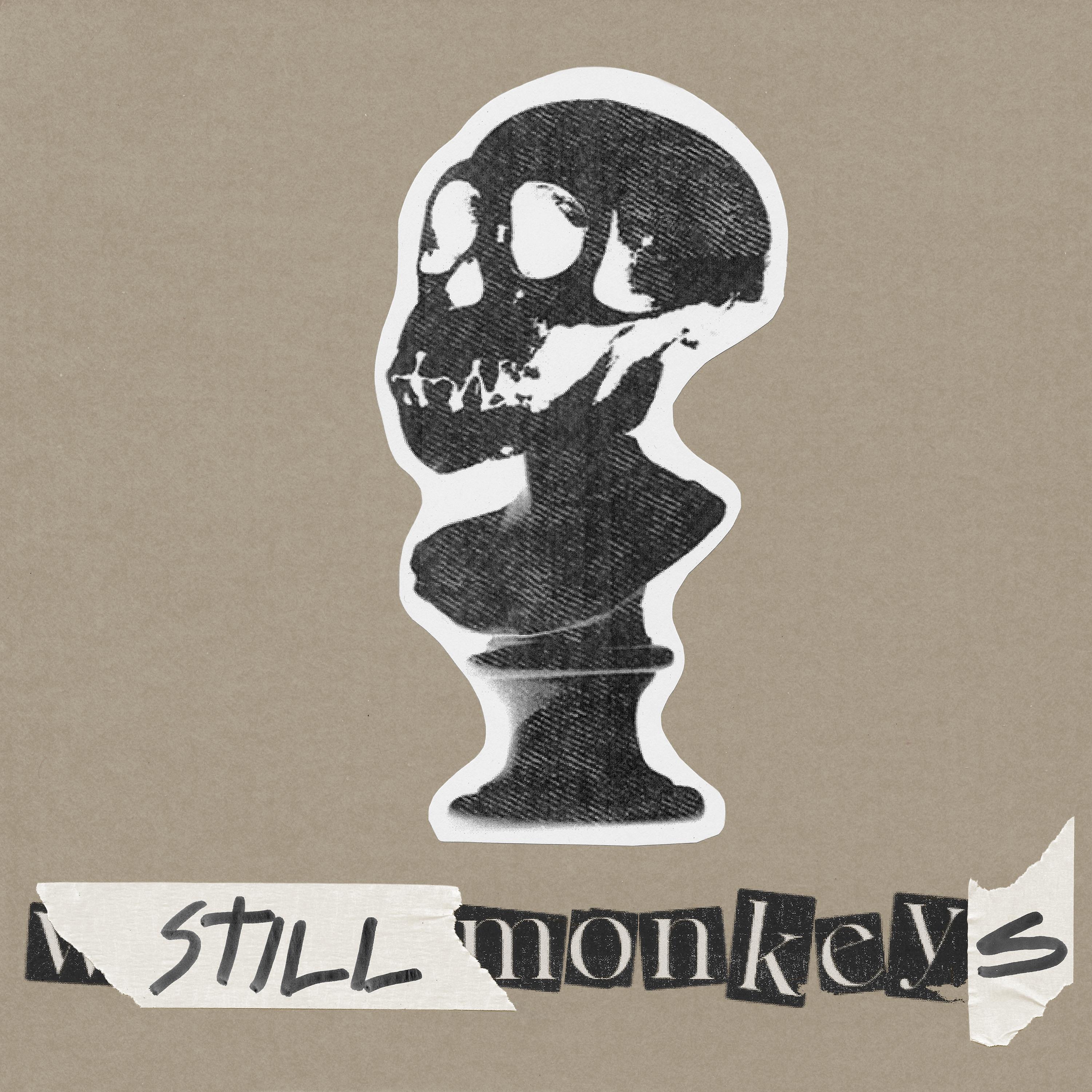 Постер альбома Still Monkeys