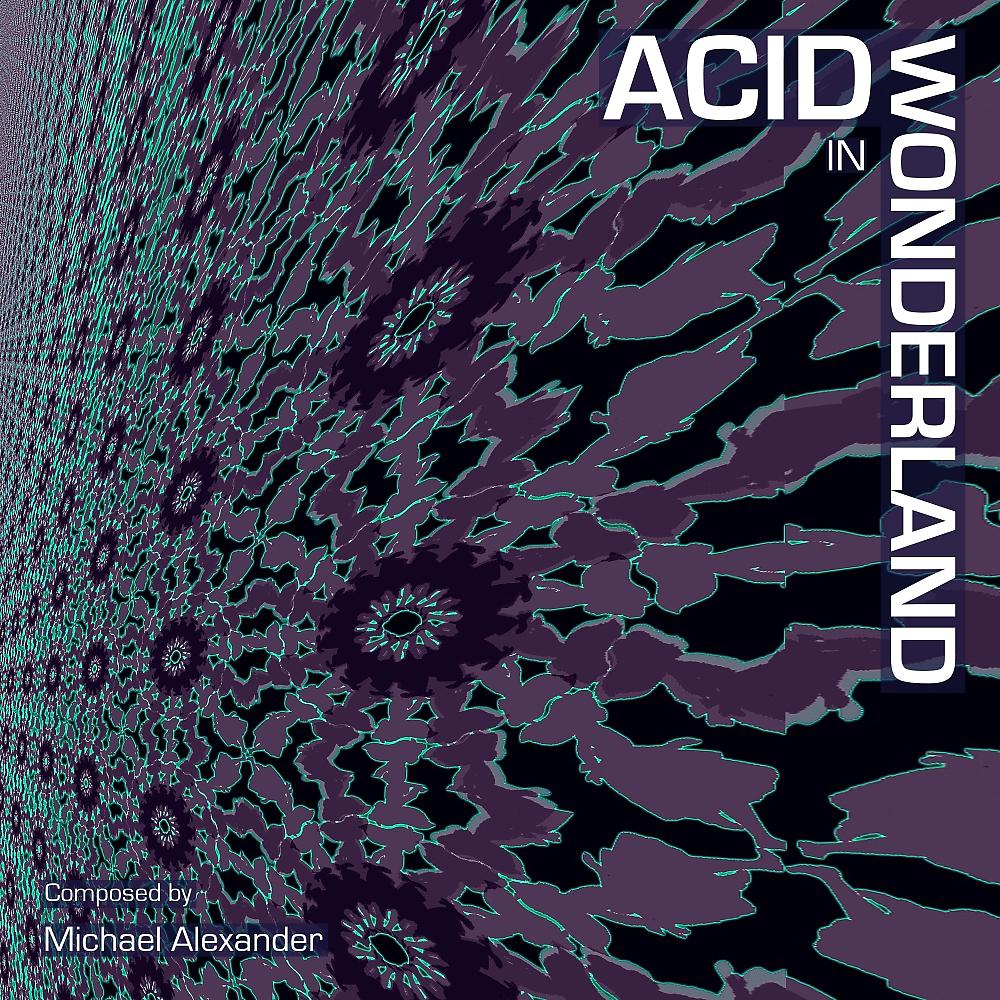 Постер альбома Acid In Wonderland