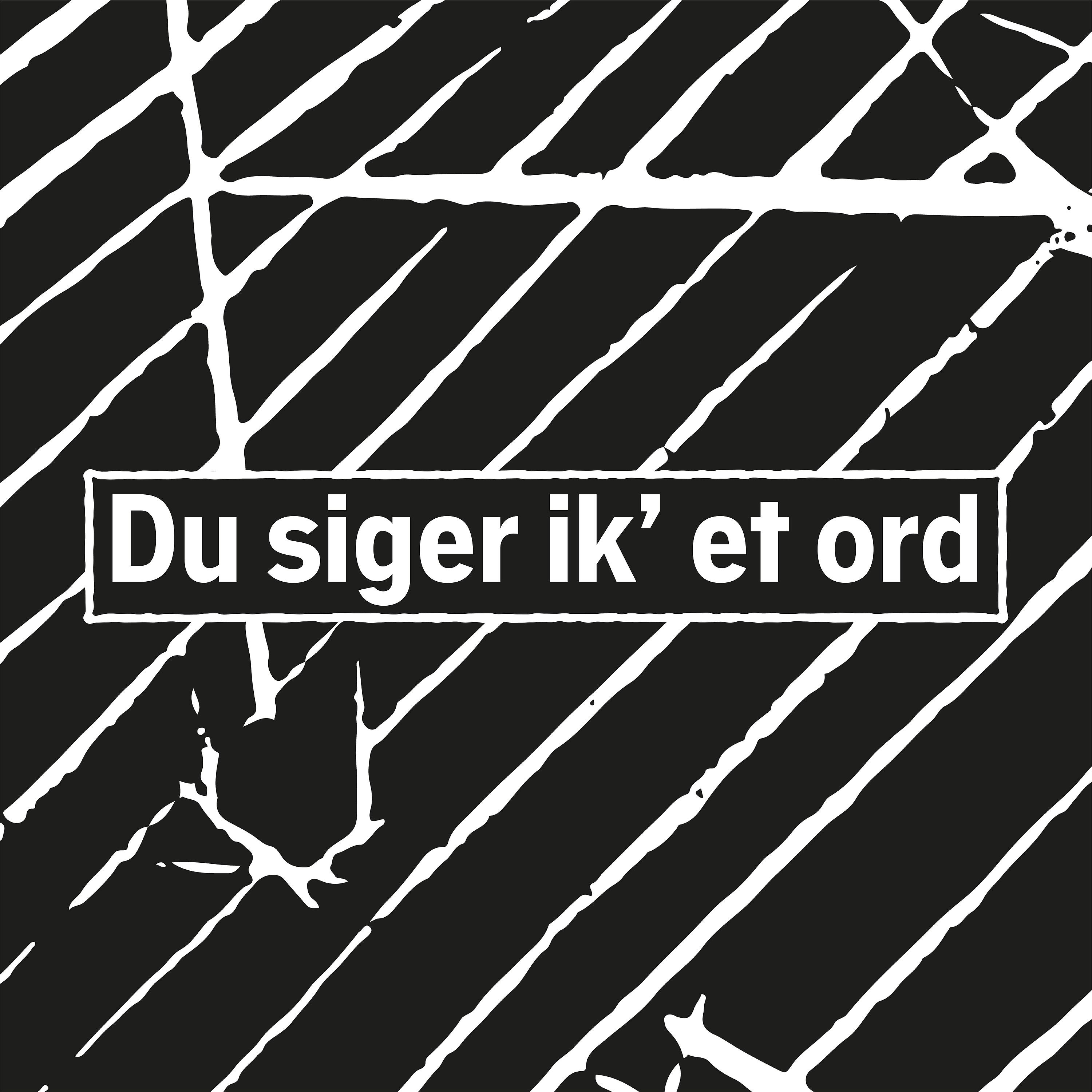 Постер альбома Du siger ik' et ord (RoFH Spot Live Session)