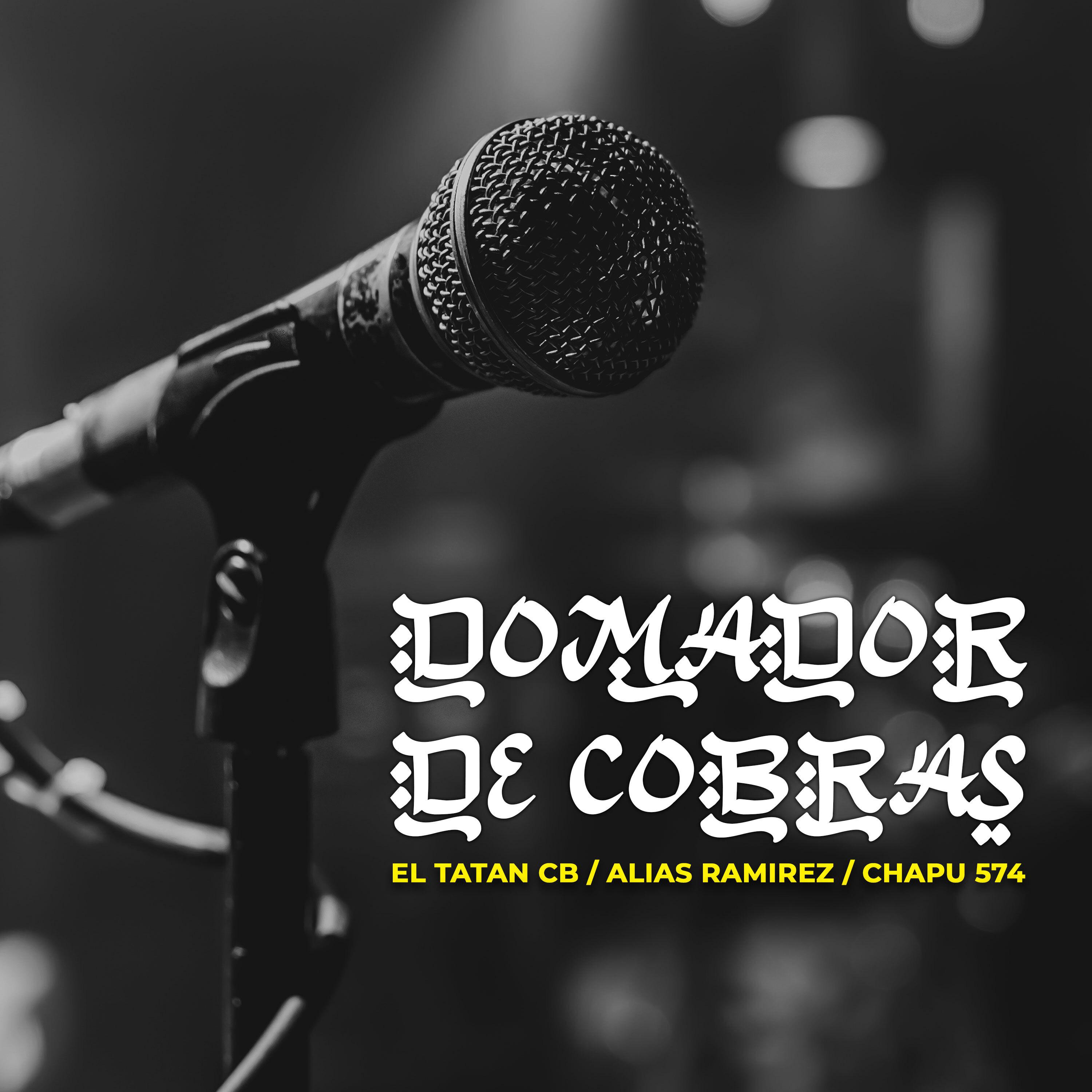 Постер альбома Domador de Cobras