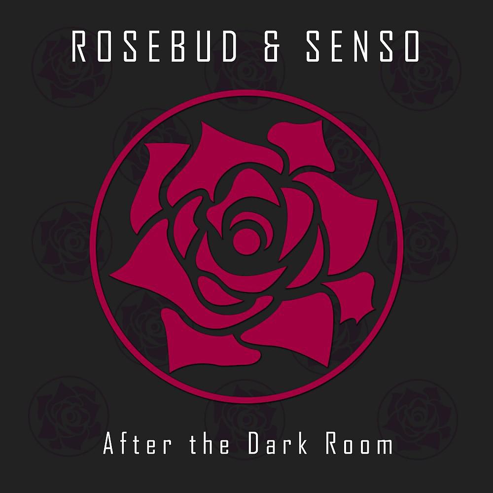 Постер альбома After the Dark Room