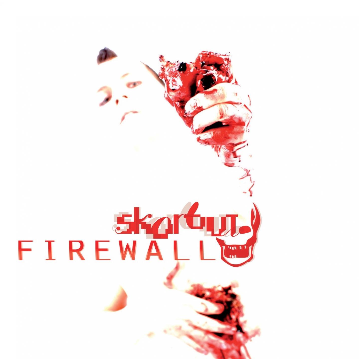Постер альбома Firewall