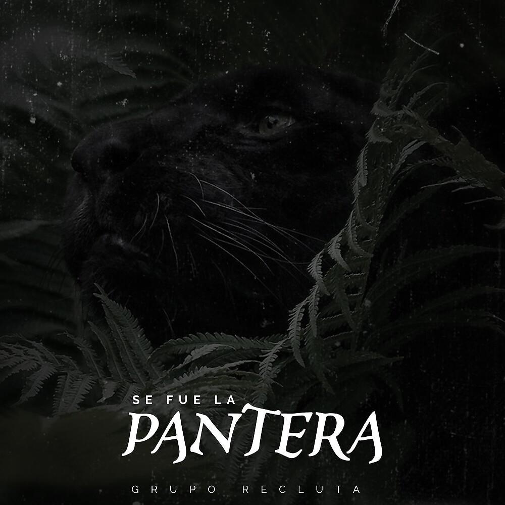 Постер альбома Se Fue La Pantera
