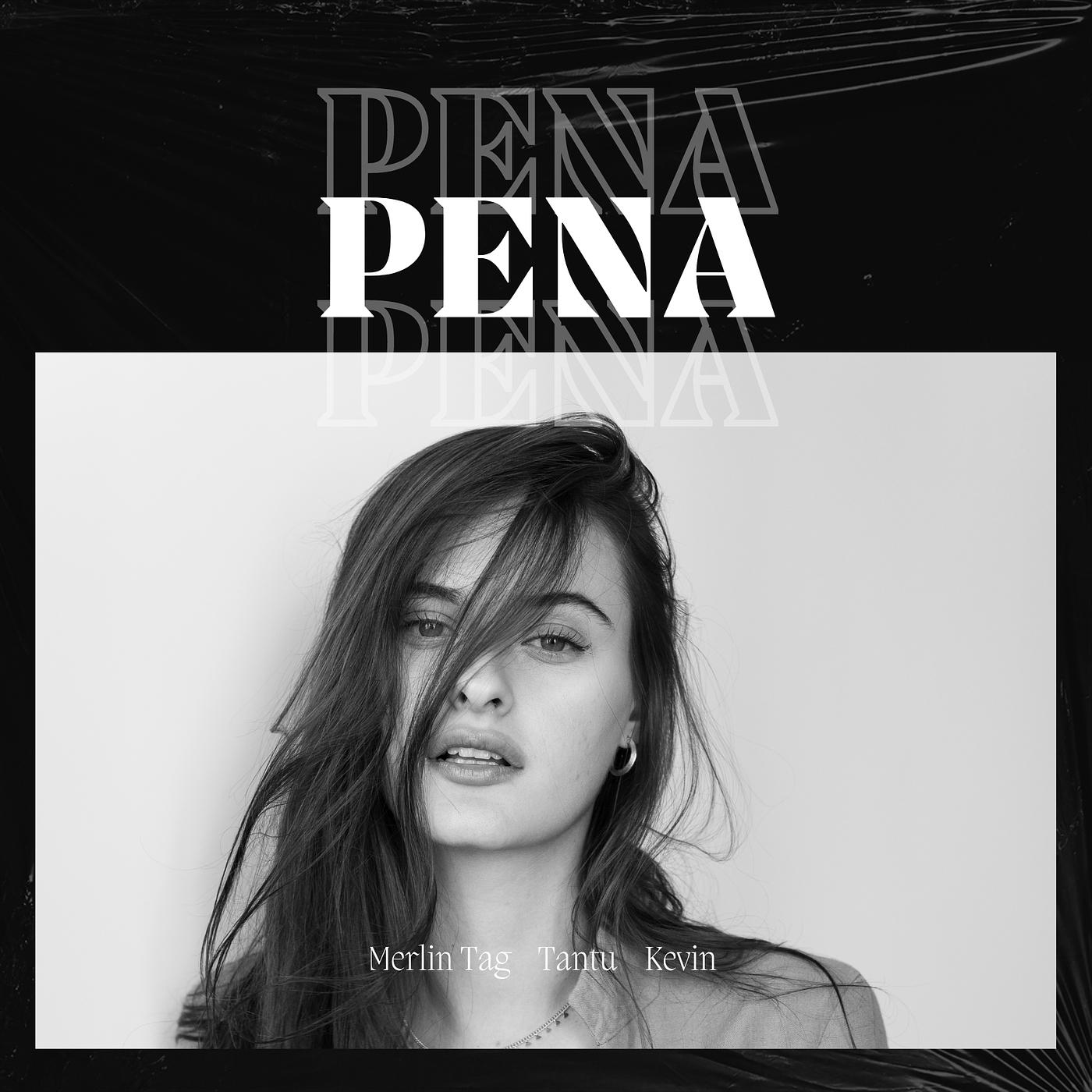 Постер альбома Pena