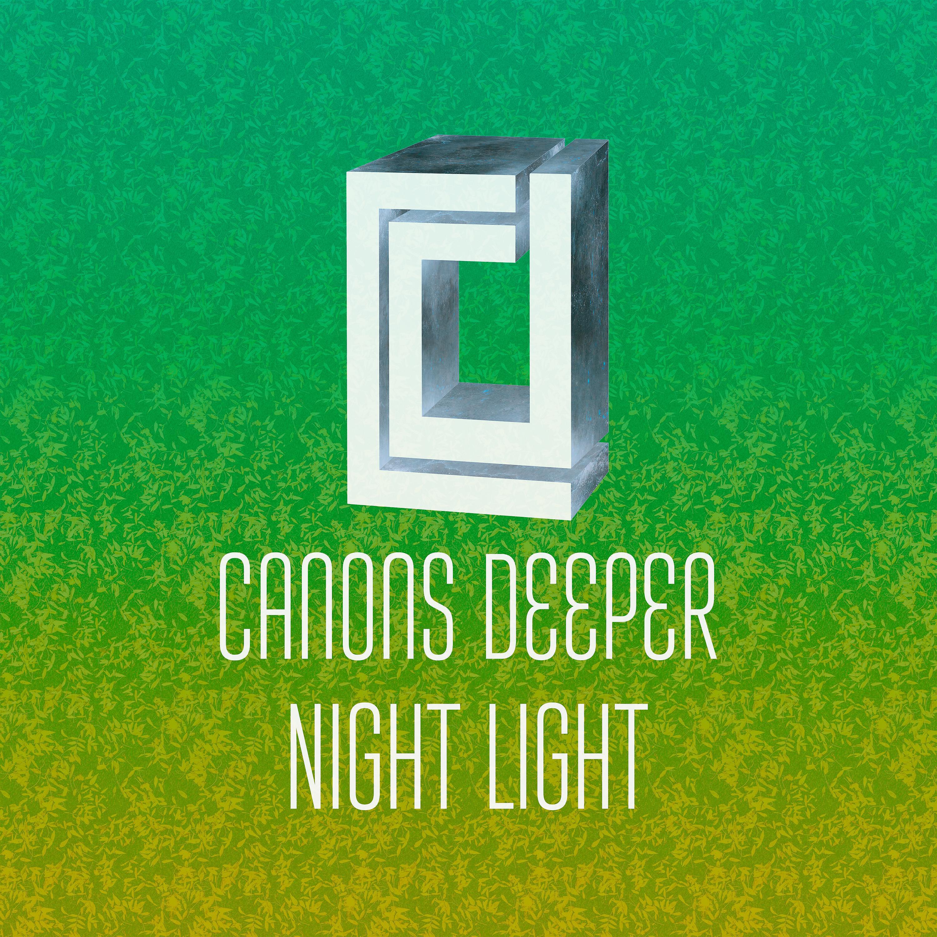 Постер альбома Night light