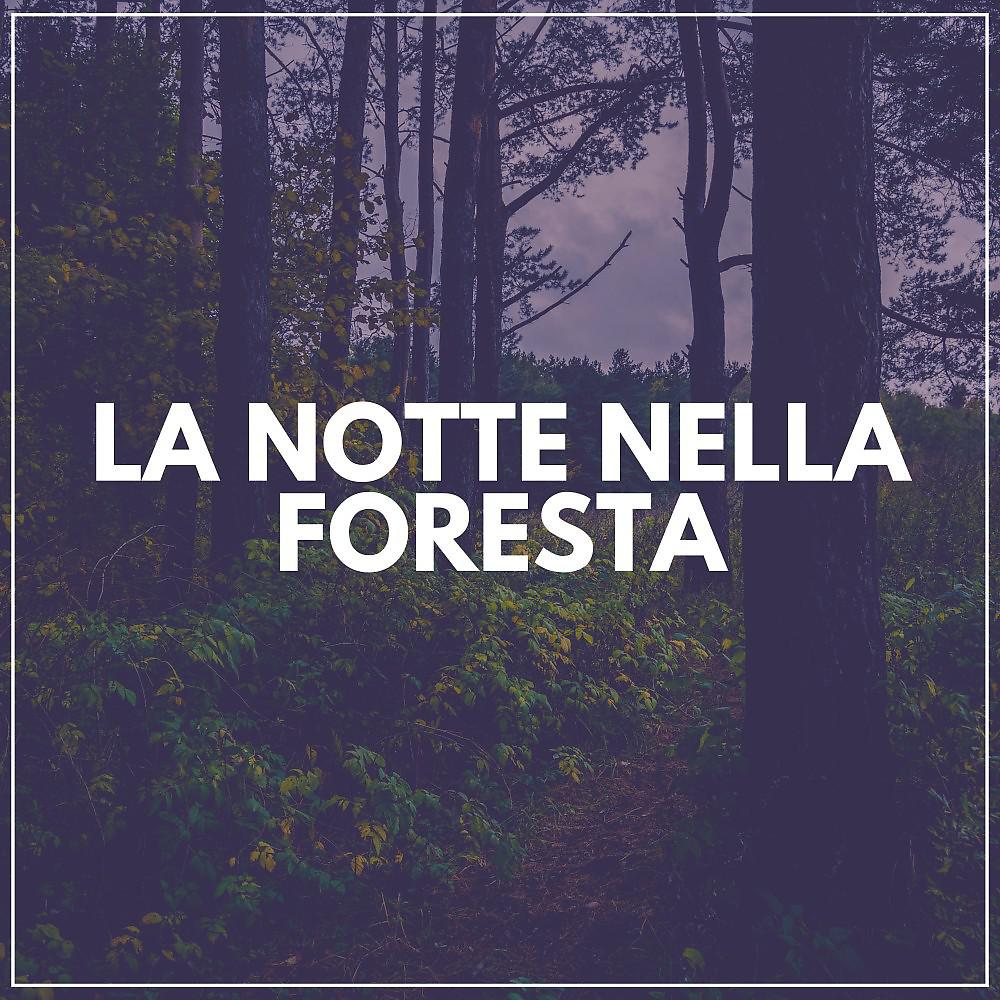 Постер альбома La Notte Nella Foresta