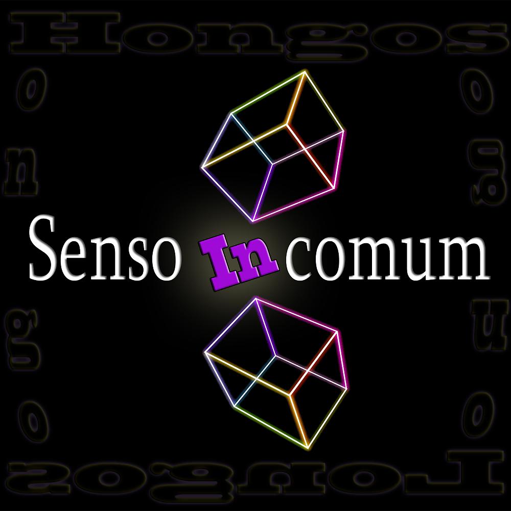 Постер альбома Senso Incomum
