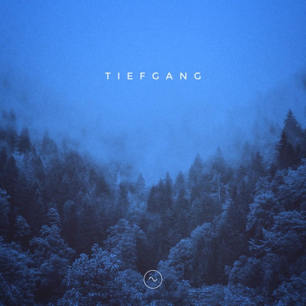 Постер альбома Tiefgang