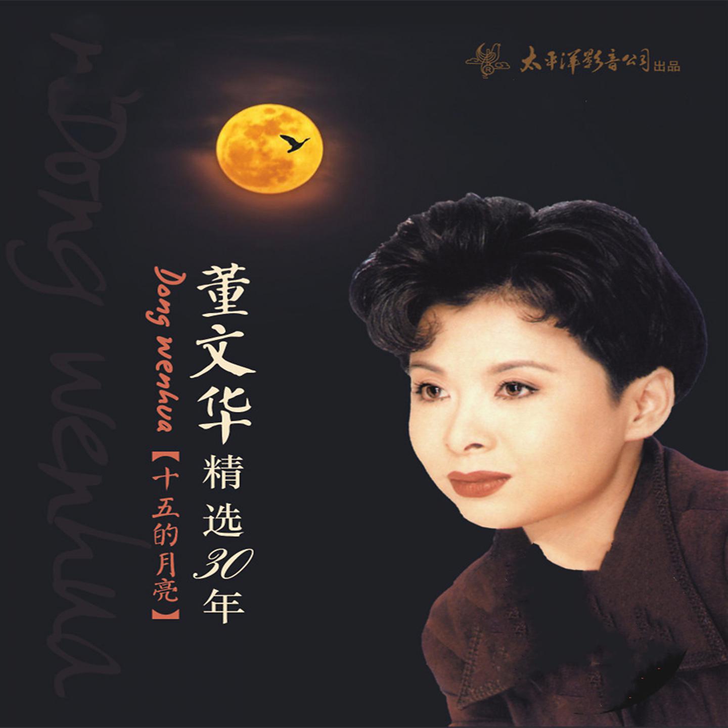 Постер альбома 董文华精选三十年 - 十五的月亮