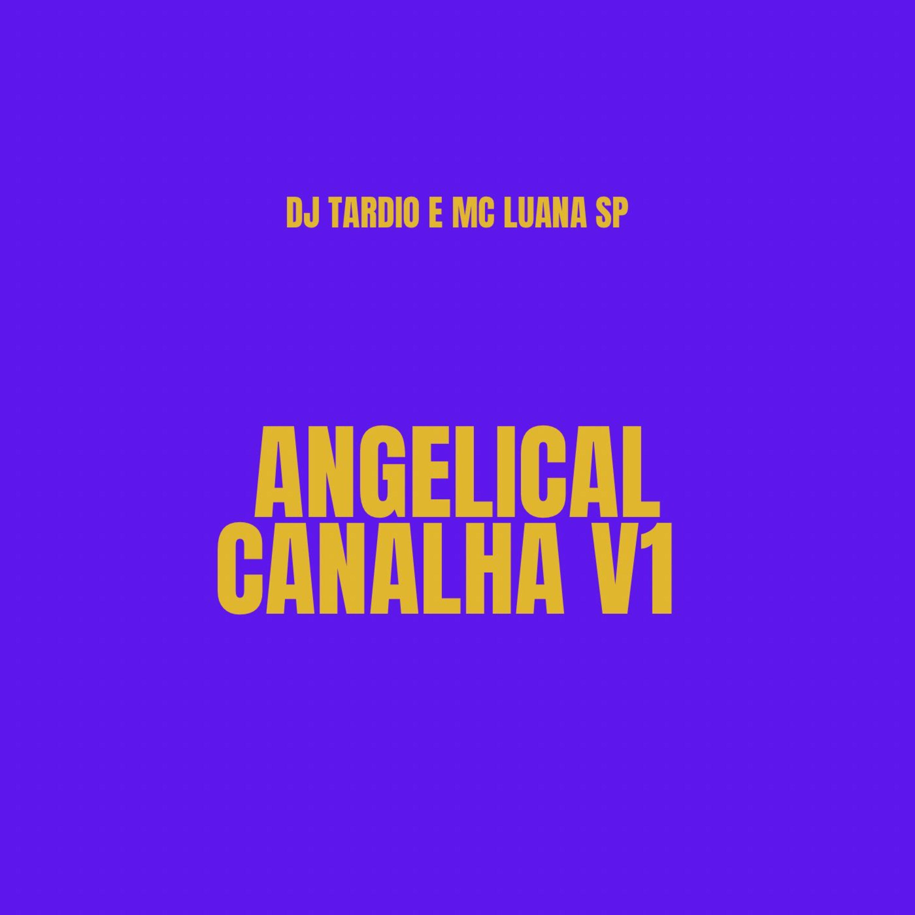 Постер альбома Angelical Canalha V1