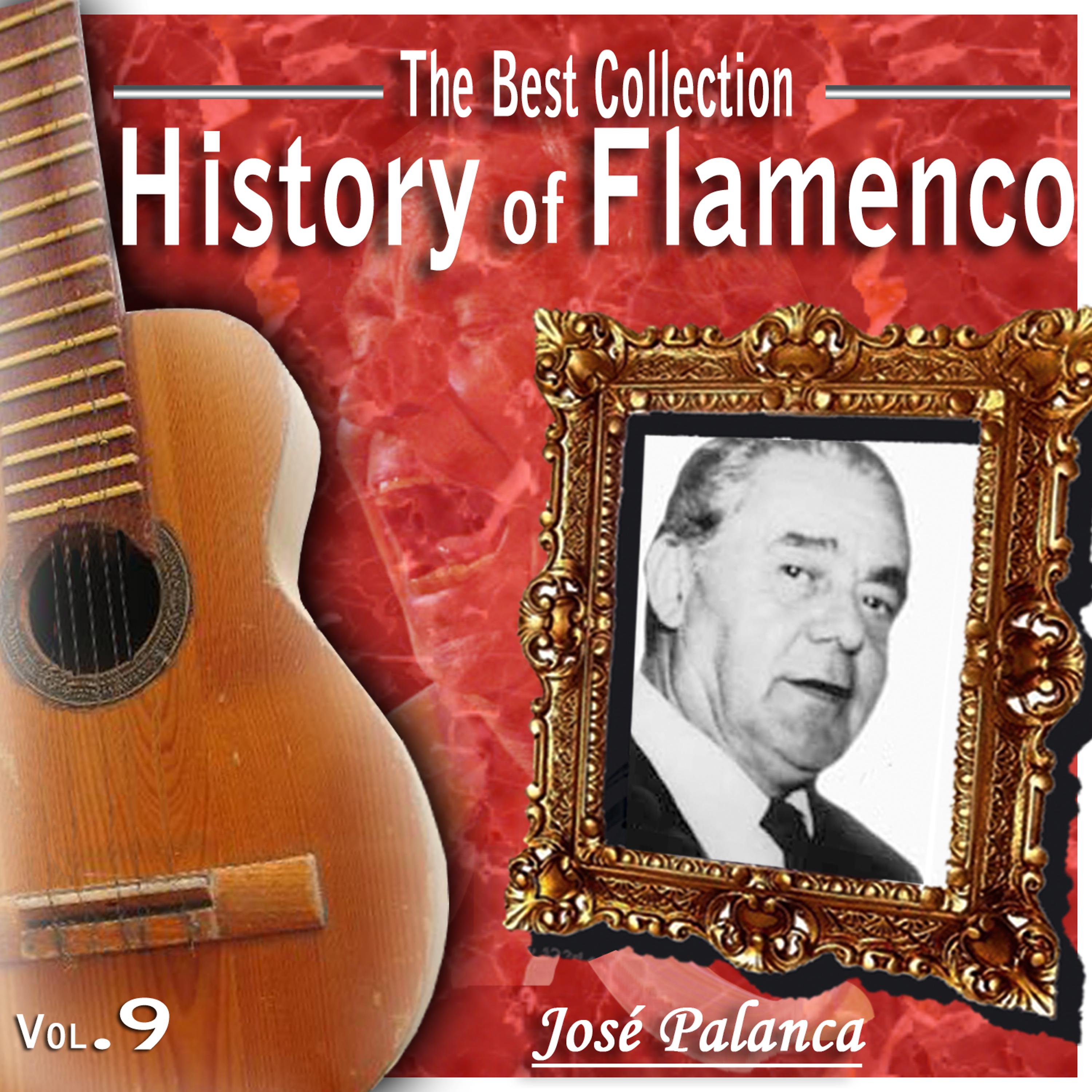 Постер альбома The Best Collection. History Of Flamenco. Vol9. Jose Palanca