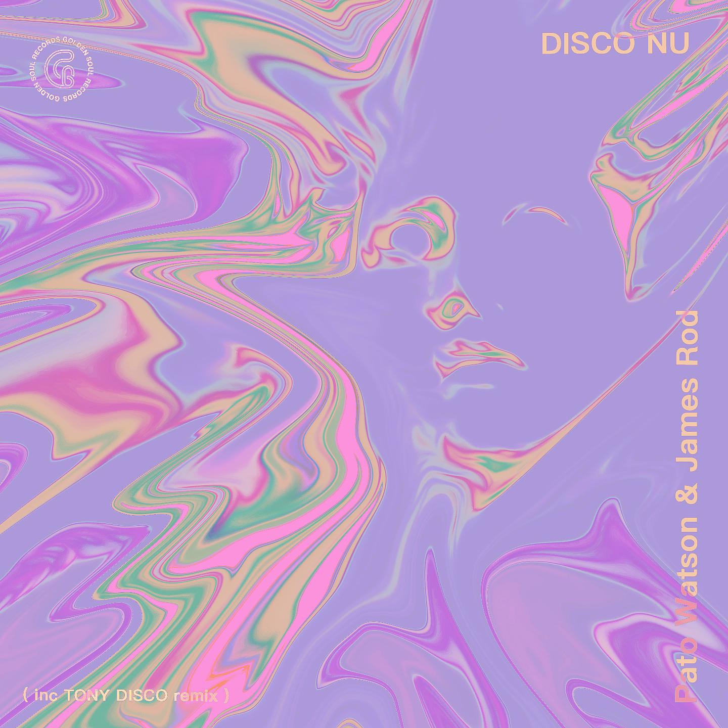 Постер альбома Disco Nu