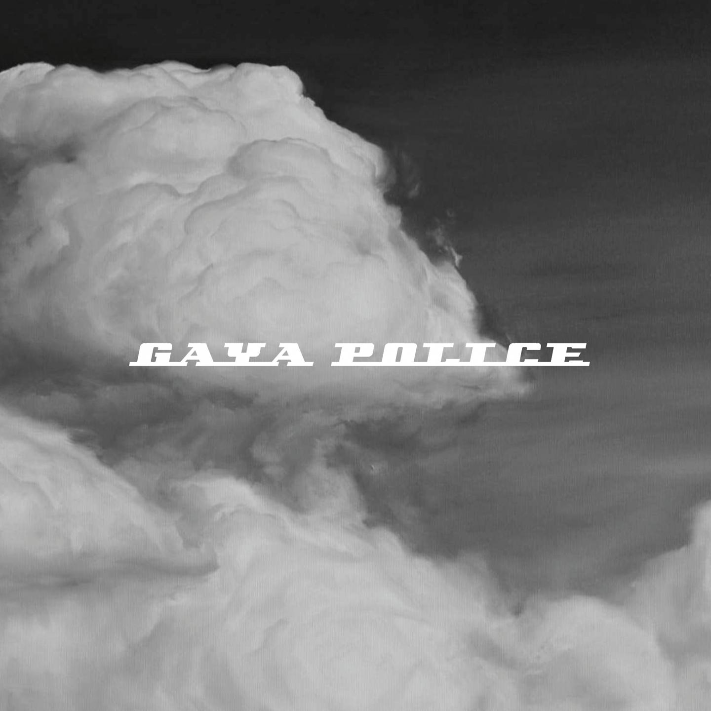 Постер альбома Sky (Gaya Police Remix)