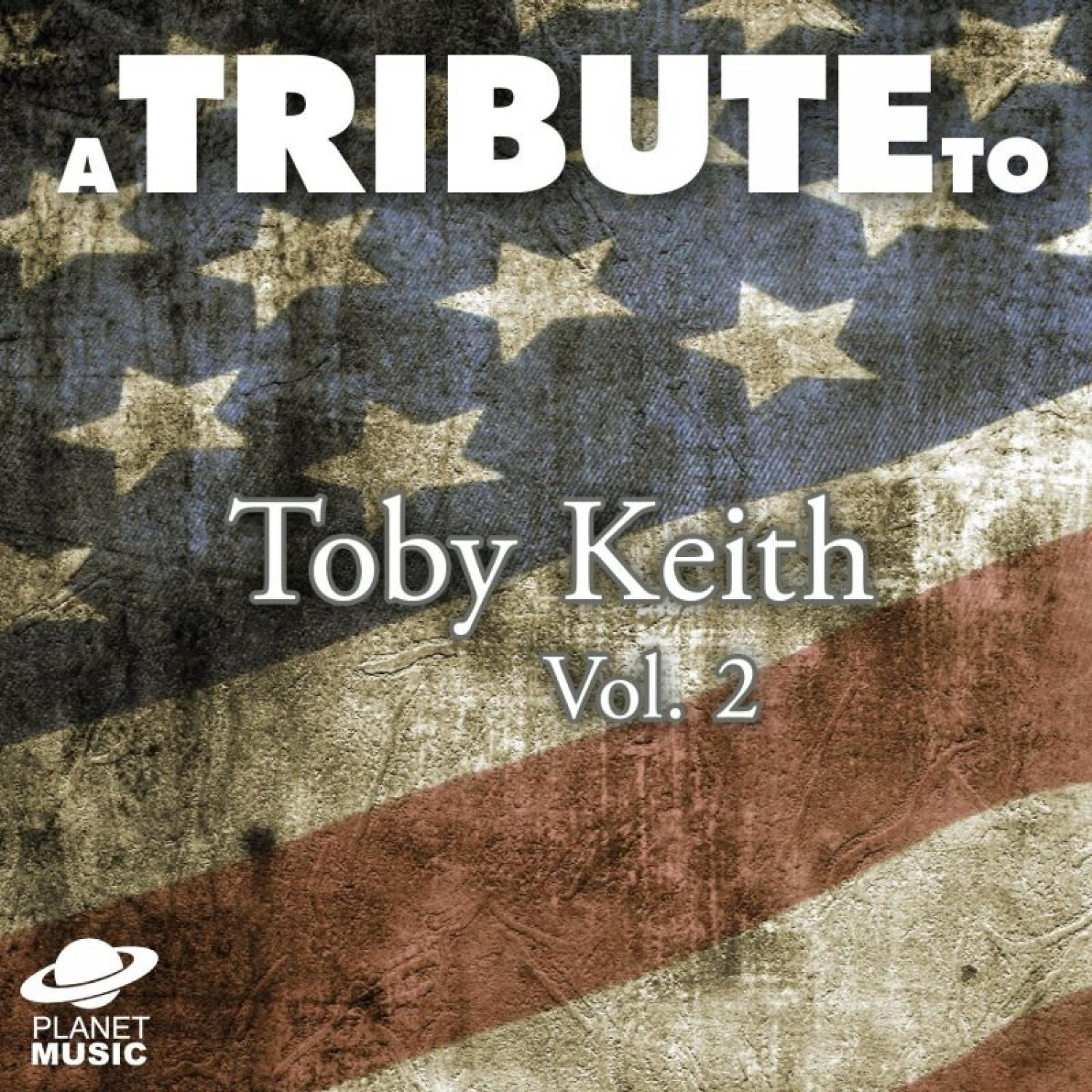 Постер альбома A Tribute to Toby Keith, Vol. 2