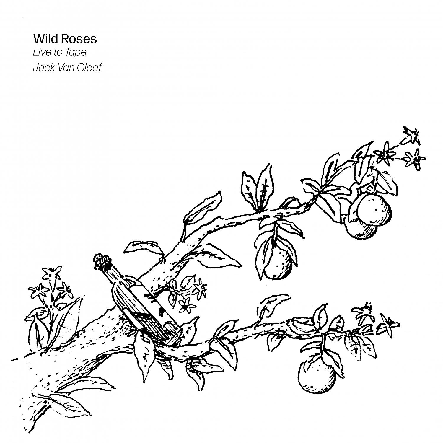 Постер альбома Wild Roses (Live to Tape)
