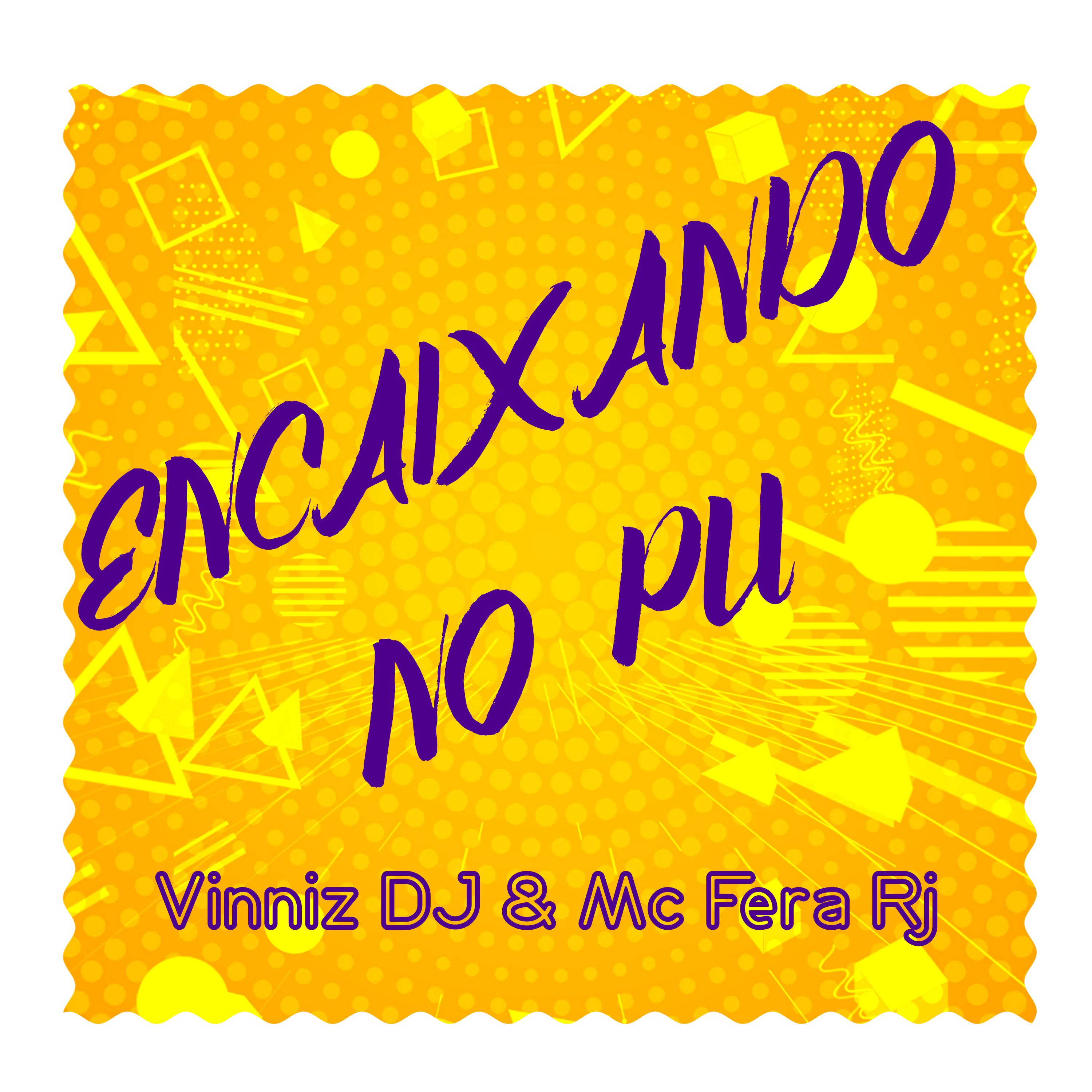 Постер альбома Encaixando no Pu