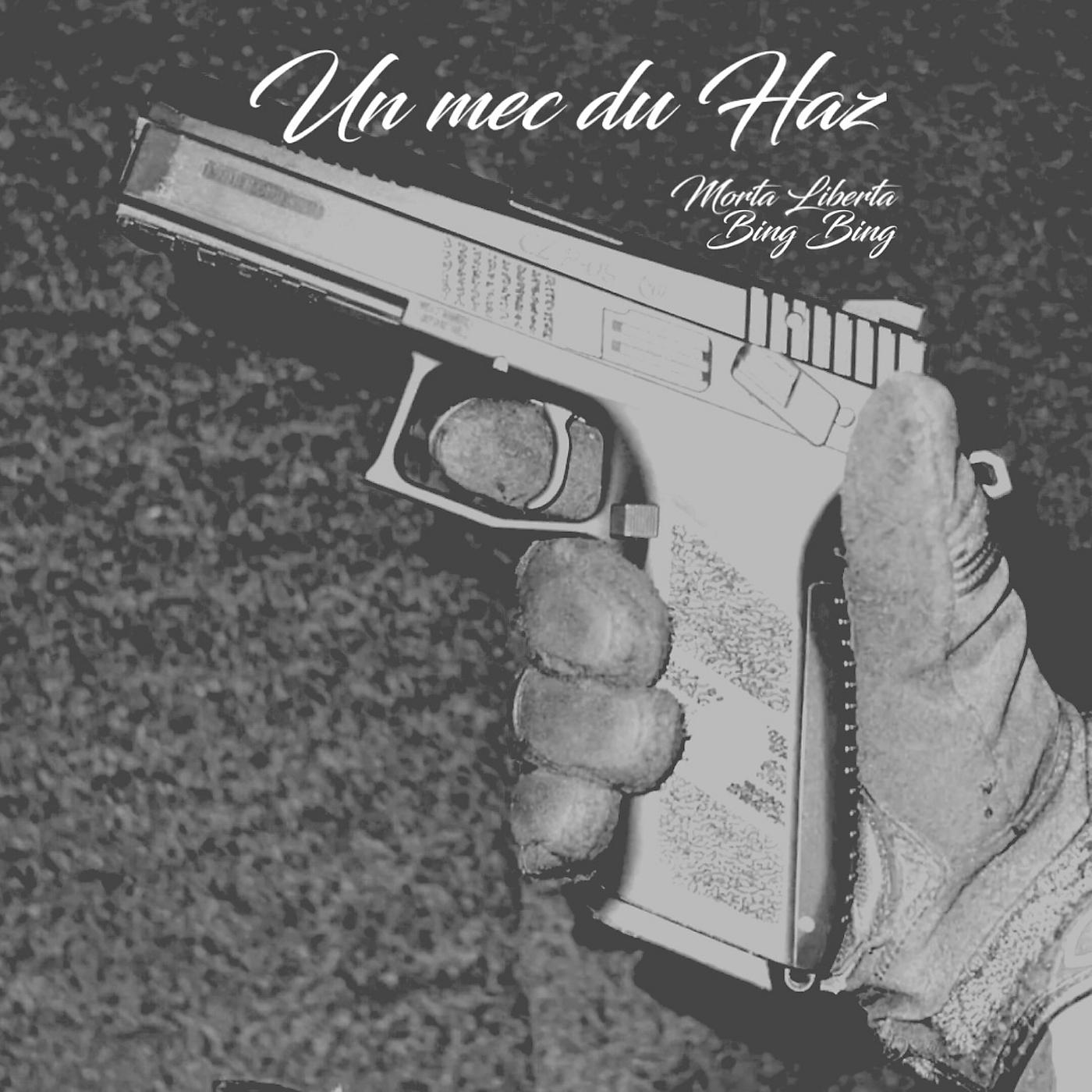 Постер альбома Un mec du Haz