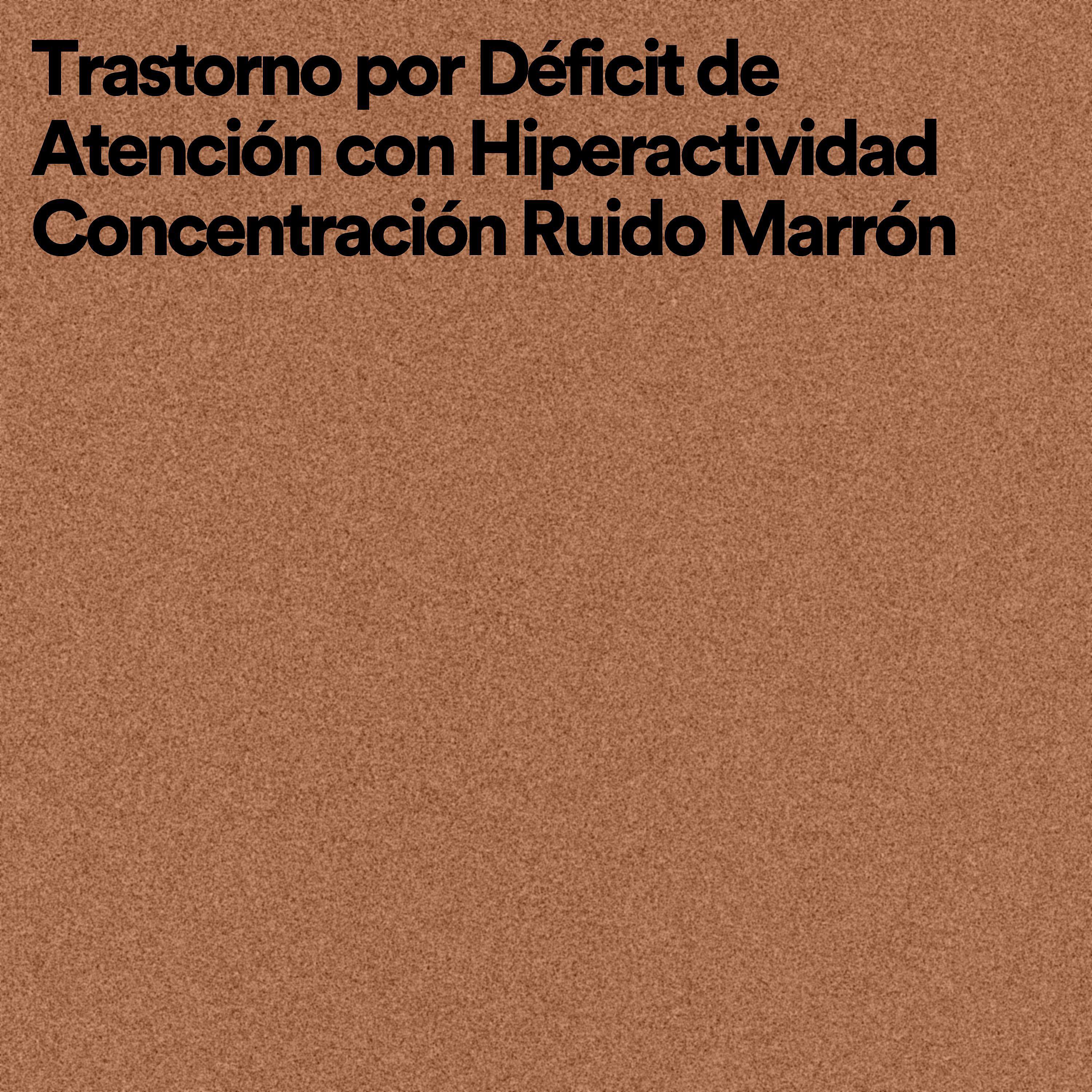 Постер альбома Trastorno por Déficit de Atención con Hiperactividad Concentración Ruido Marrón