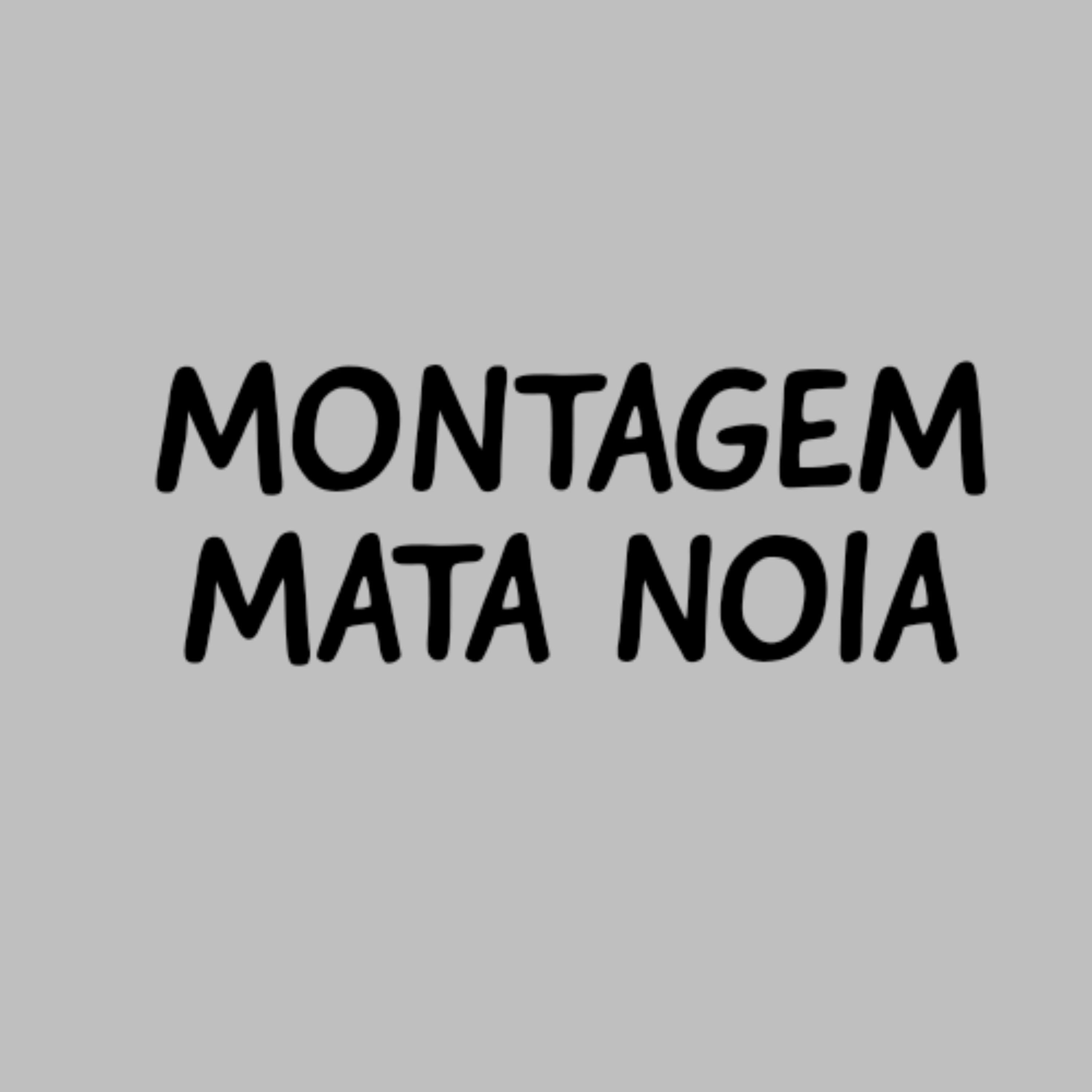 Постер альбома Montagem Mata Noia