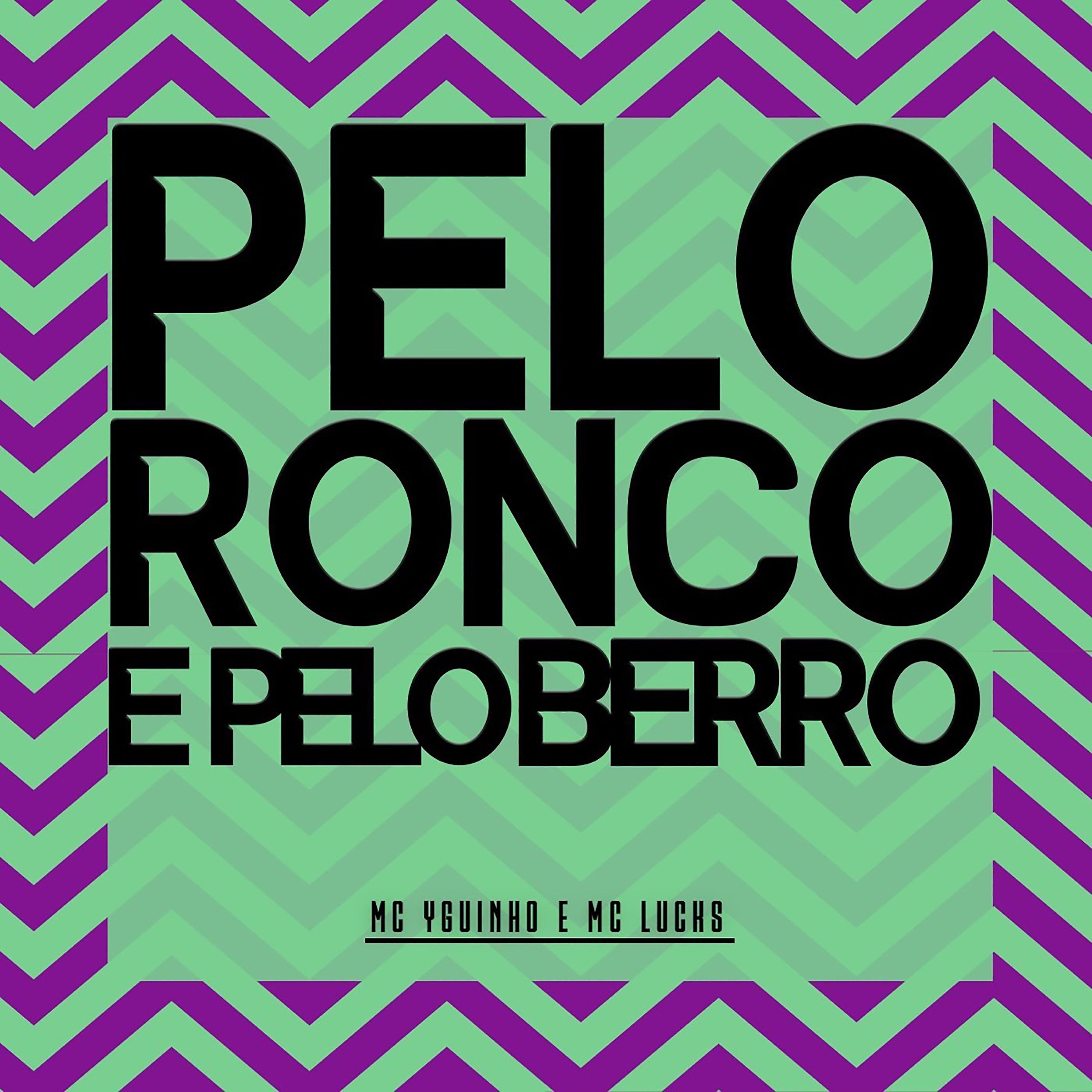 Постер альбома Pelo Ronco e Pelo Berro