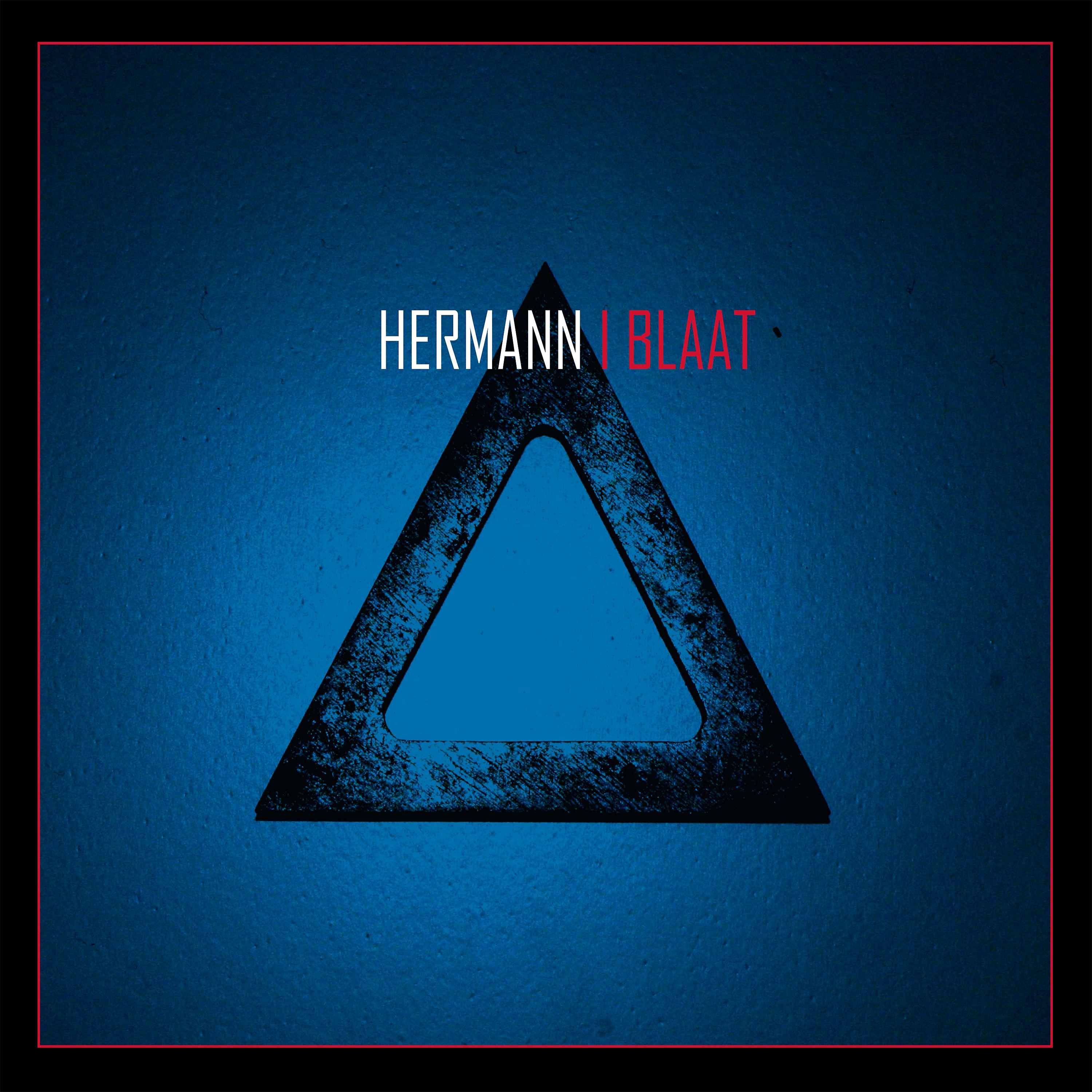 Постер альбома Hermann I Blaat