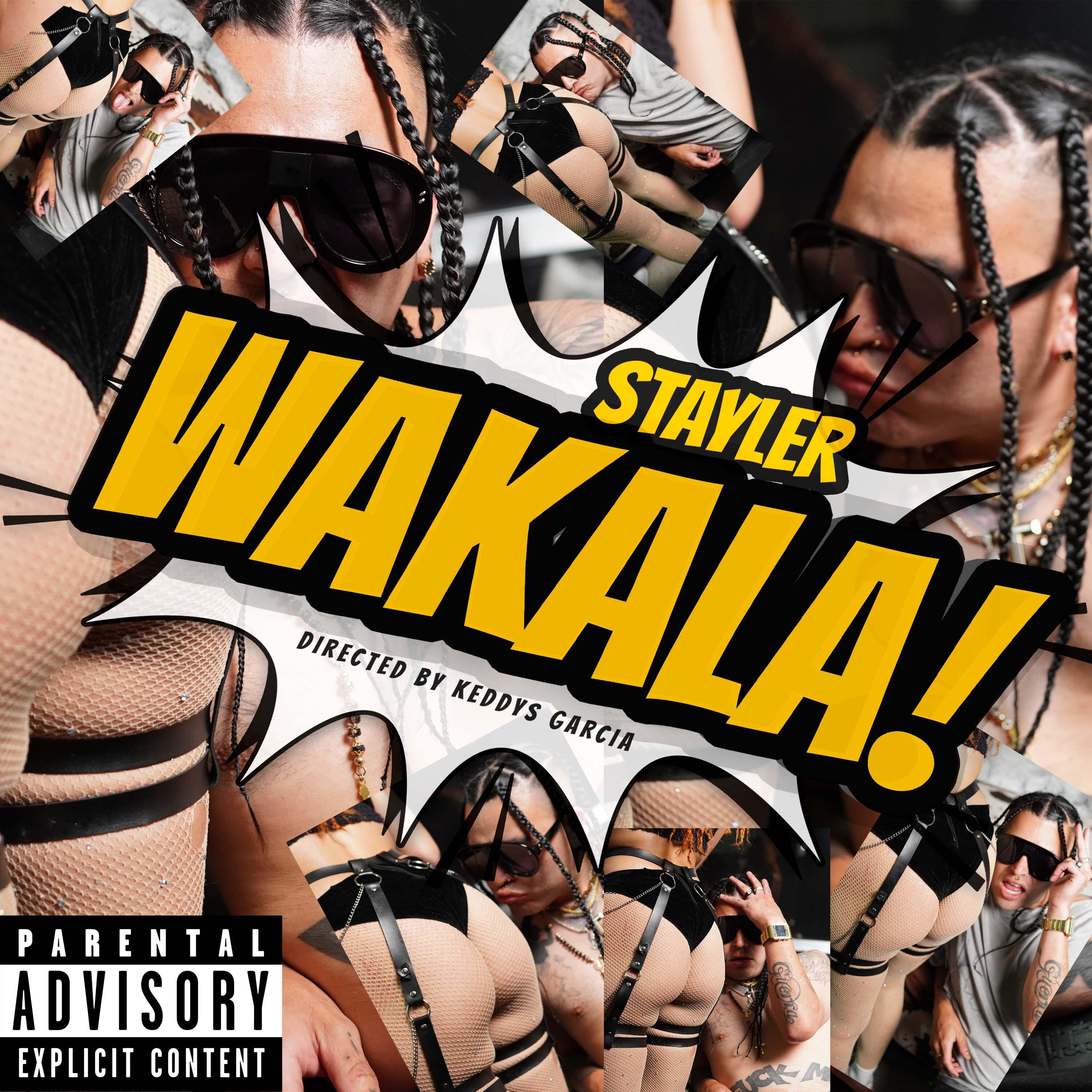 Постер альбома Wakala