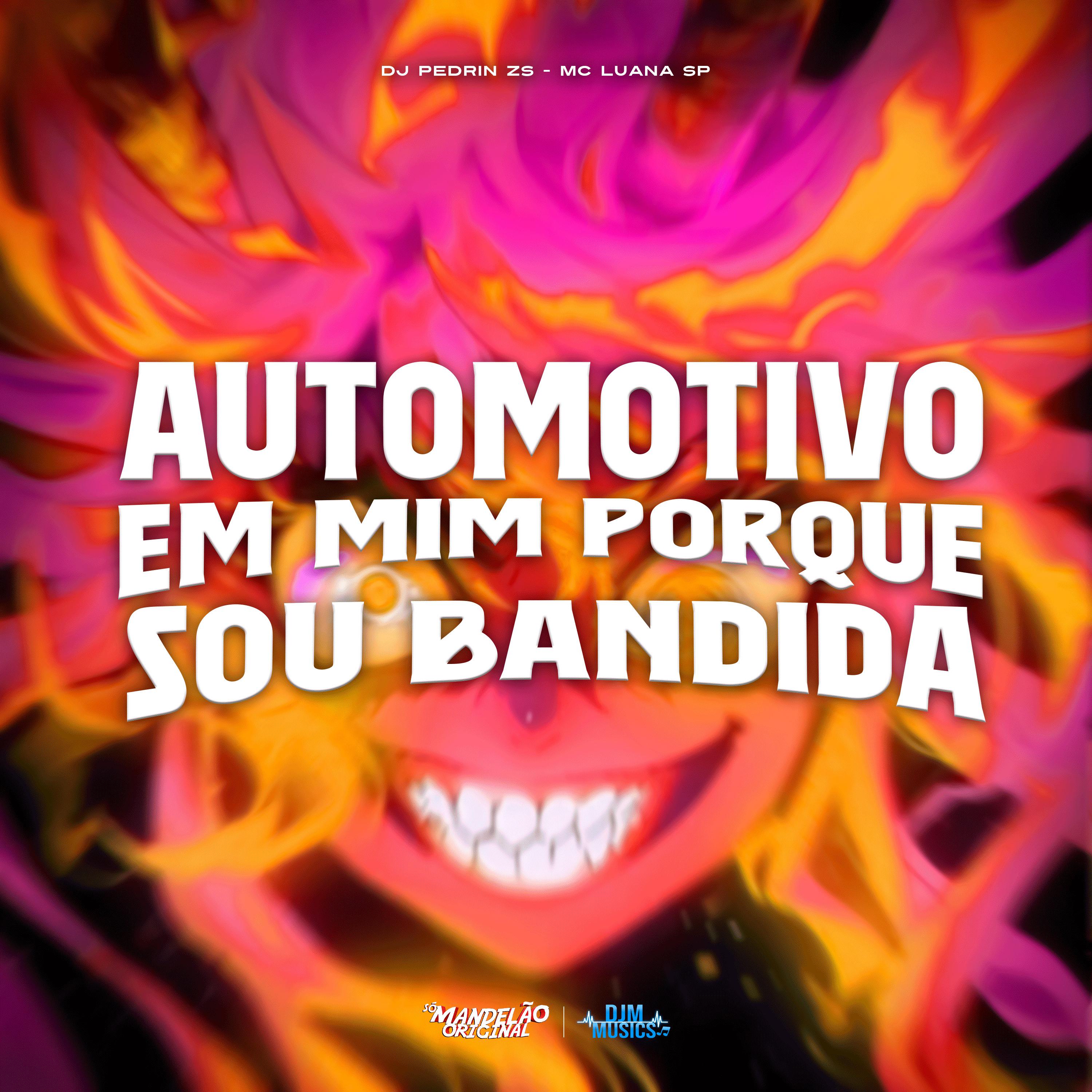 Постер альбома Automotivo Em Mim Porque Sou Bandida