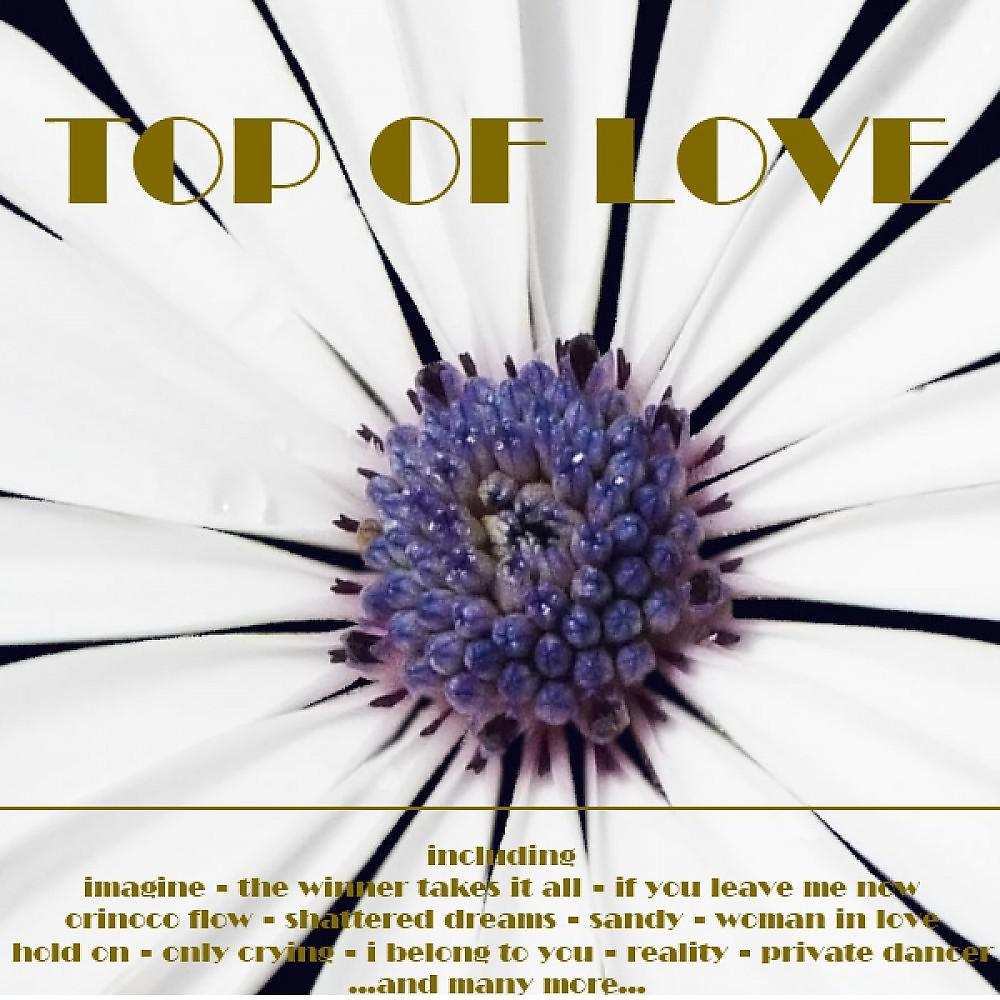 Постер альбома Top of Love