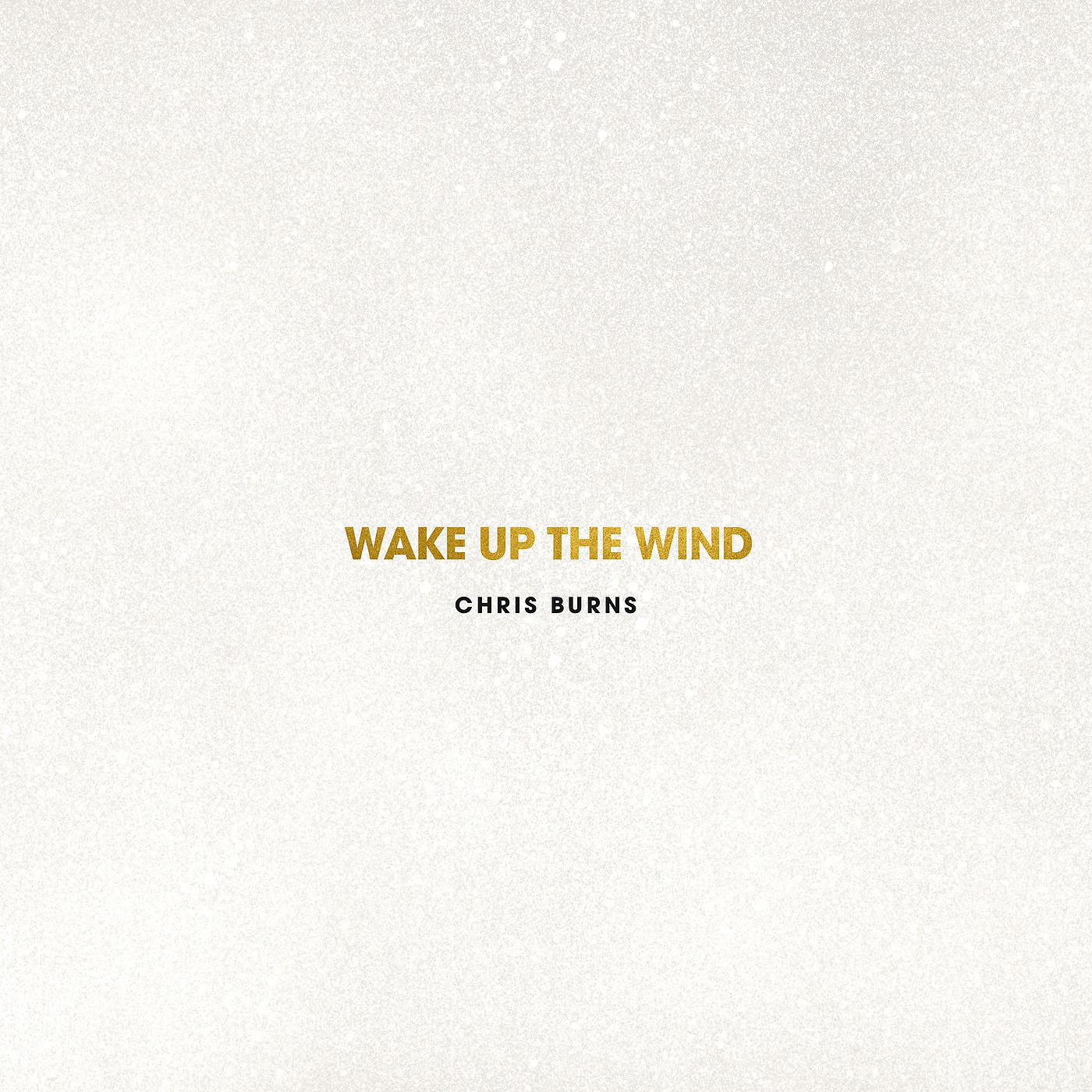 Постер альбома Wake up the Wind