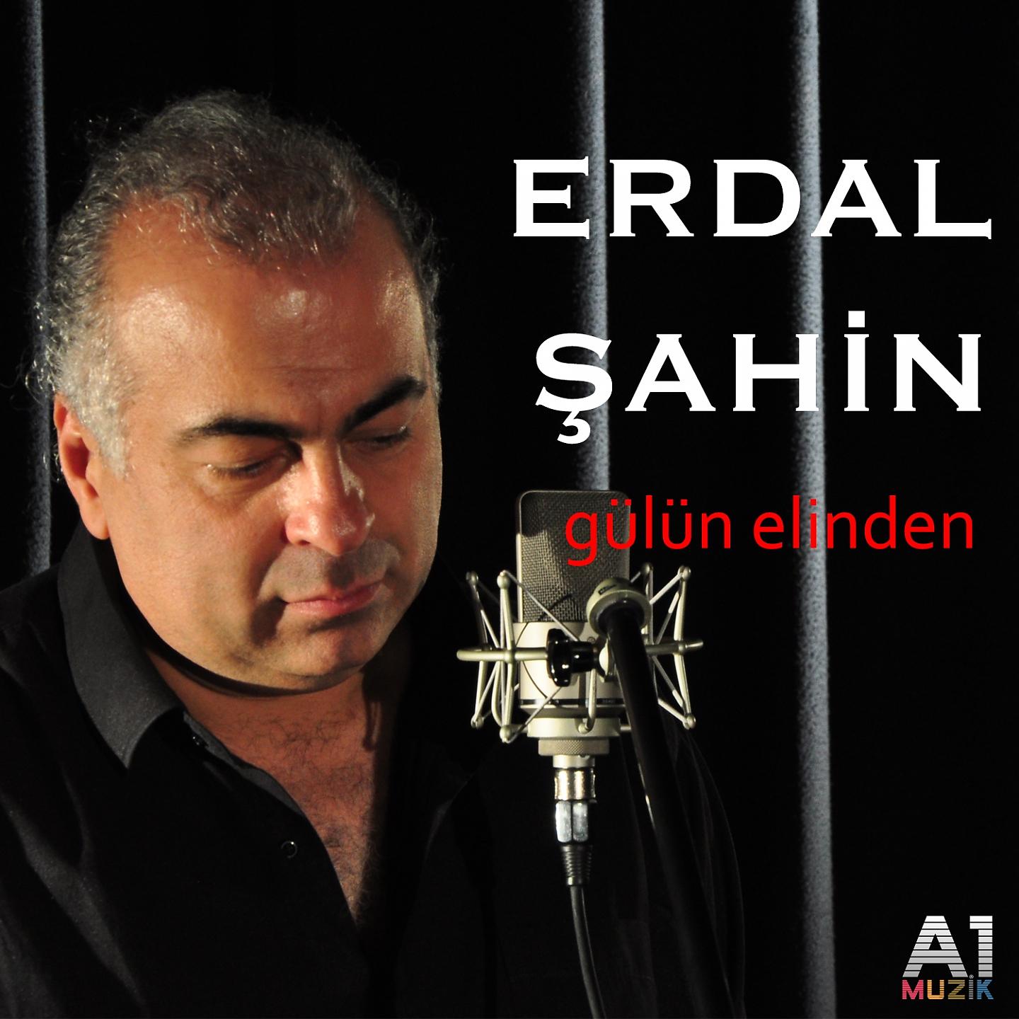 Постер альбома Gülün Elinden