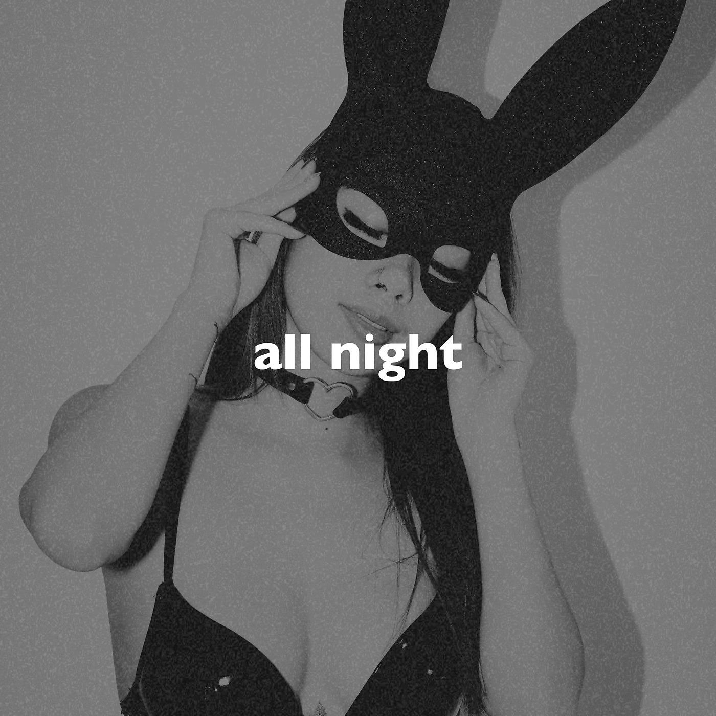 Постер альбома All Night (Slowed + Reverb)