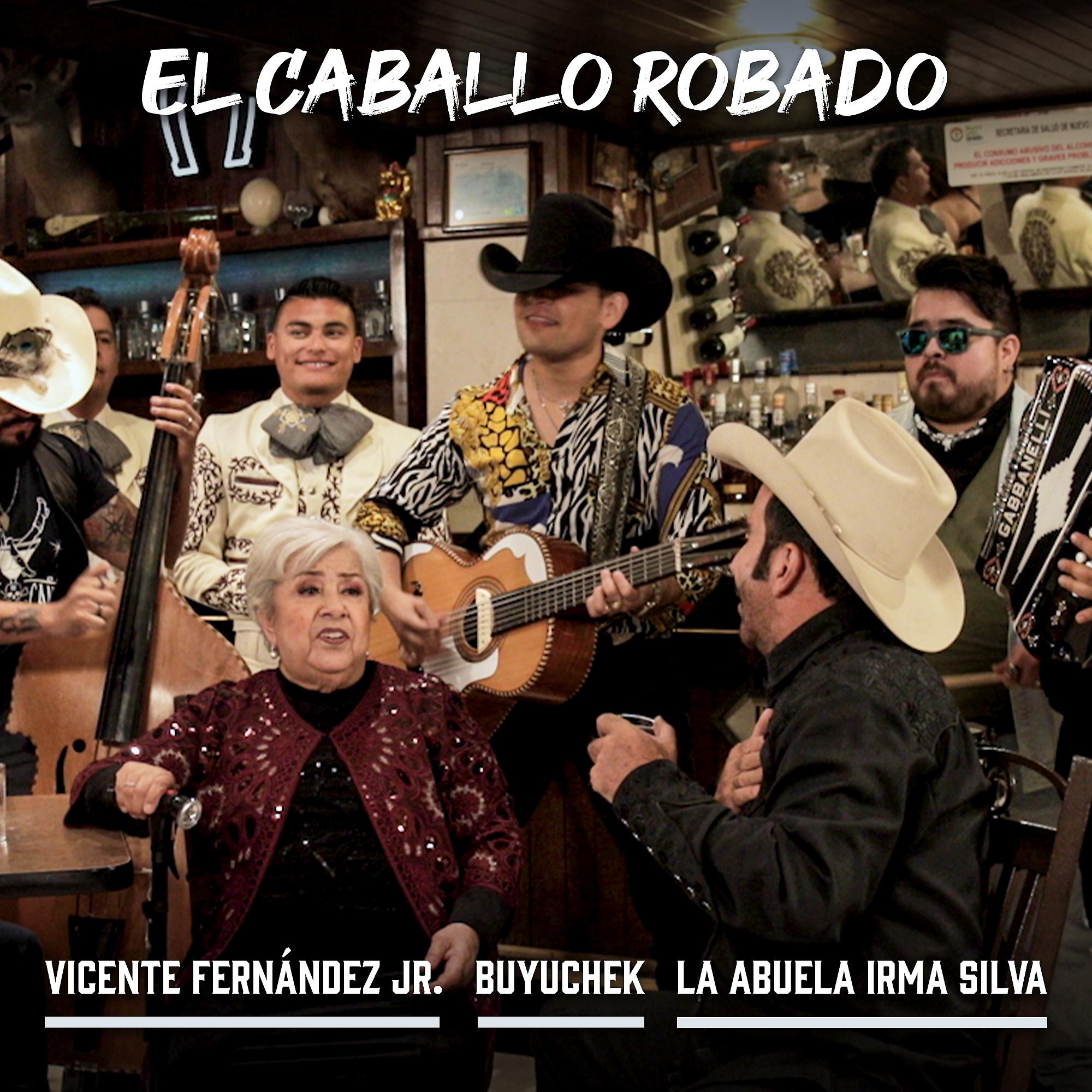 Постер альбома El Caballo Robado