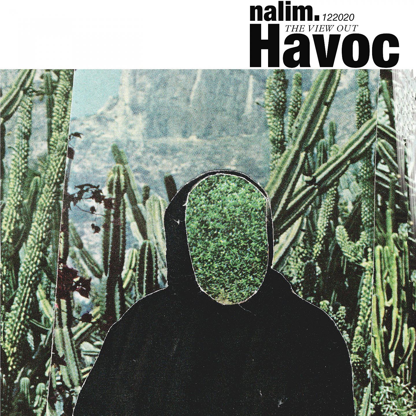 Постер альбома HAVOC