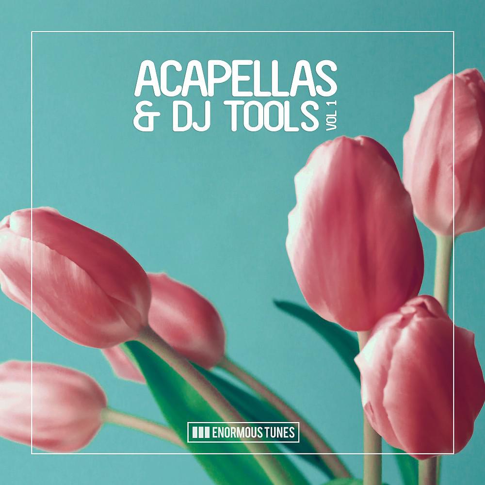 Постер альбома Enormous Tunes - Acapellas & DJ Tools, Vol. 1