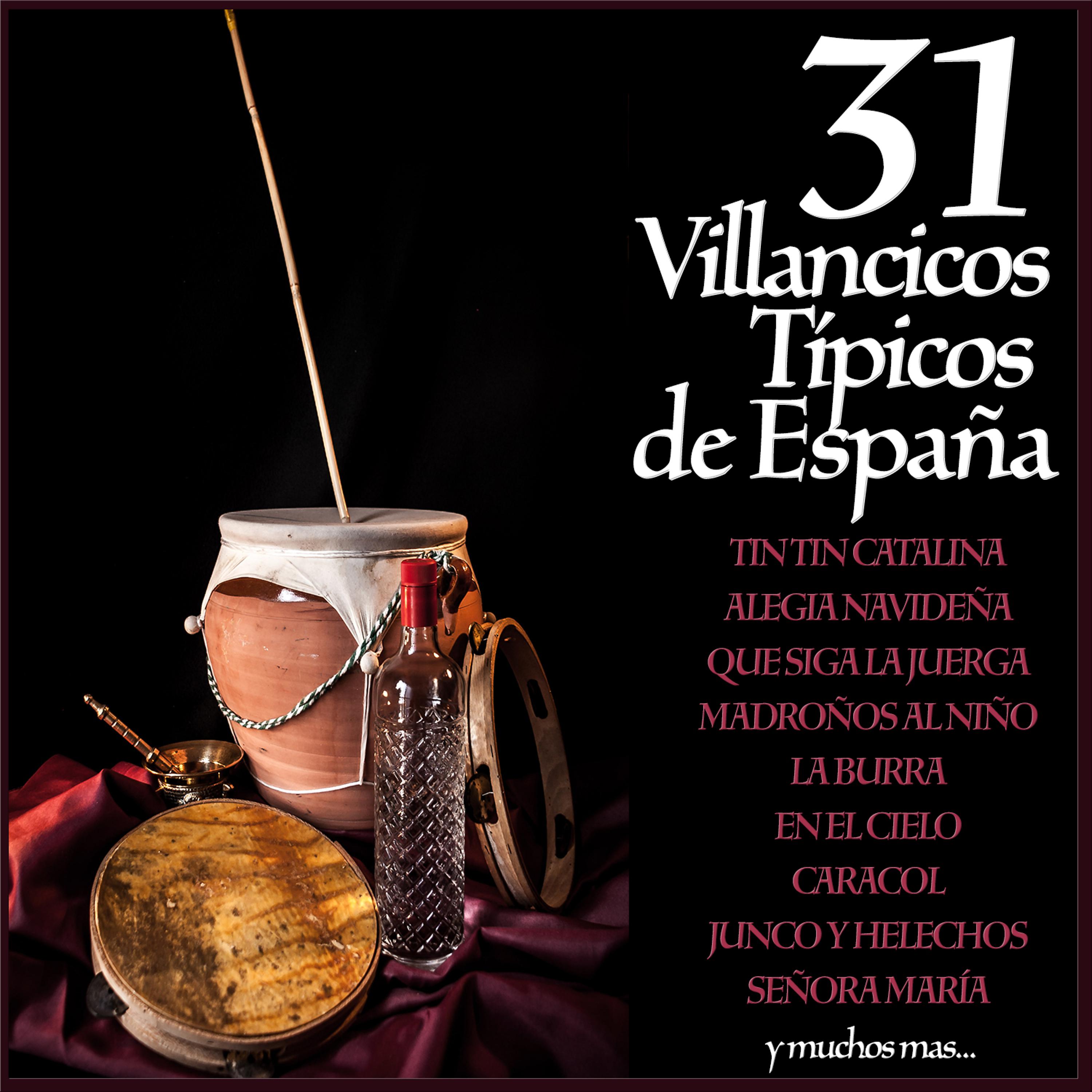 Постер альбома 31 Villancicos Típicos de España Guitarra Española, Panderetas y Palmas para Navidad