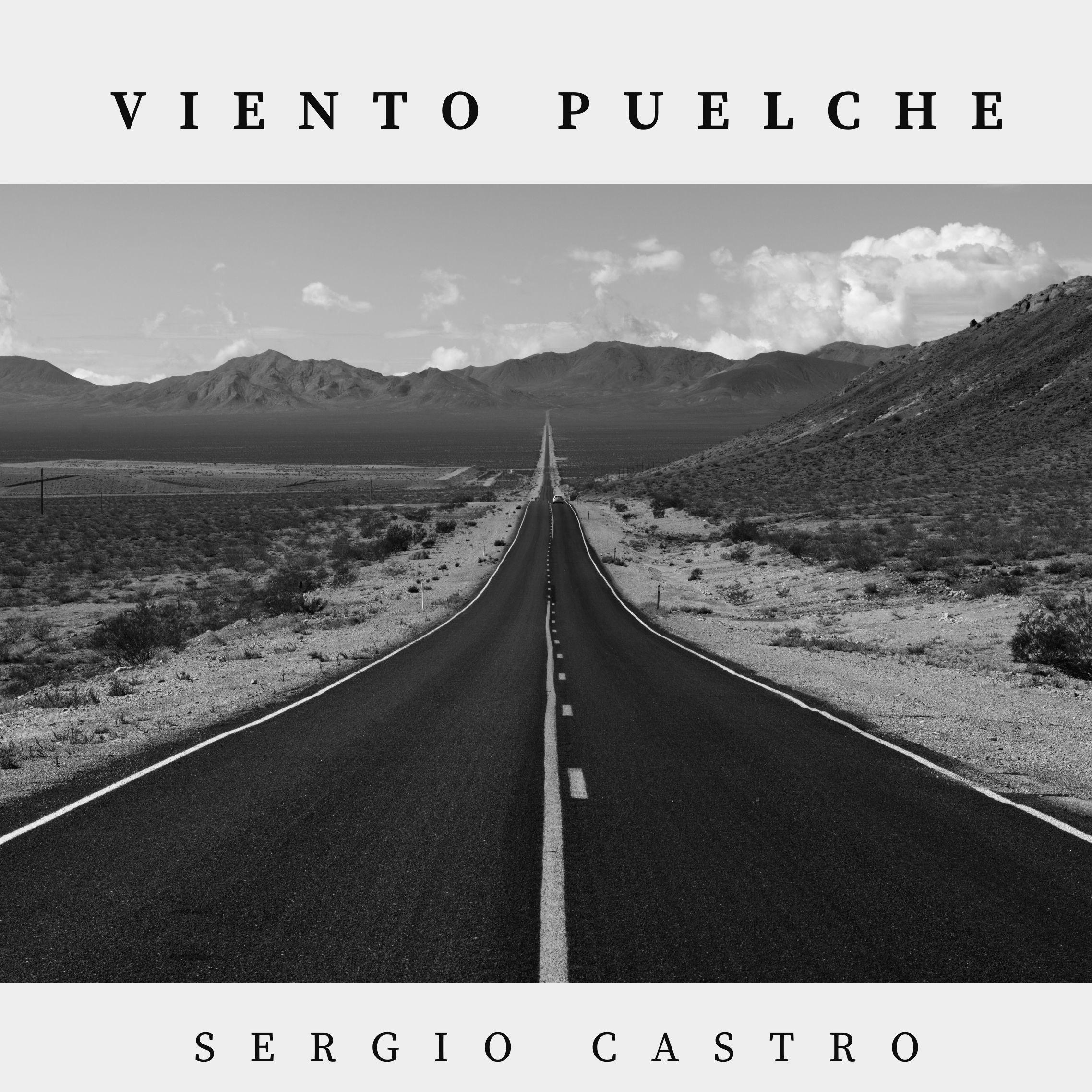 Постер альбома Viento Puelche