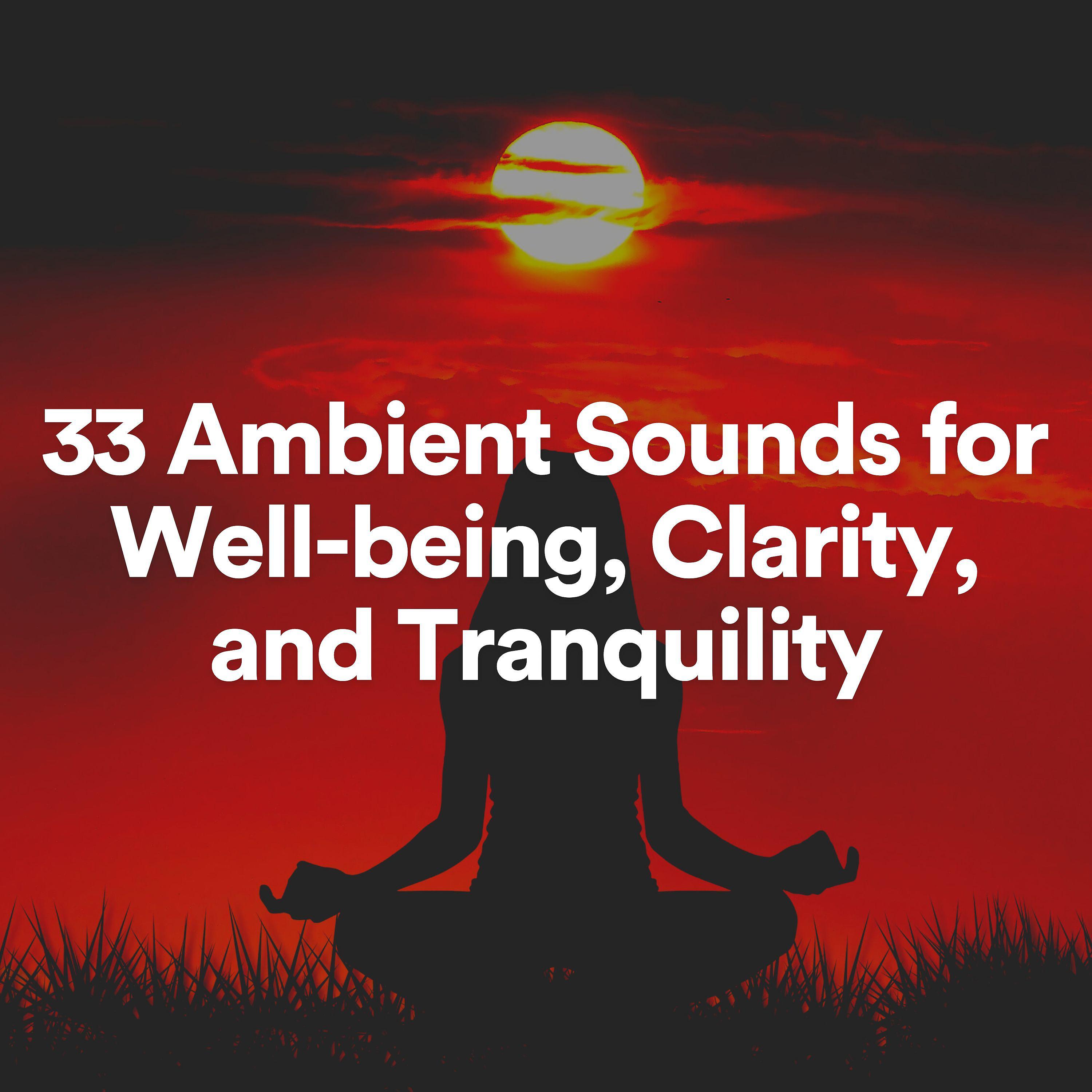 Постер альбома 33 Ambient Sounds for Well-being, Clarity, and Tranquility