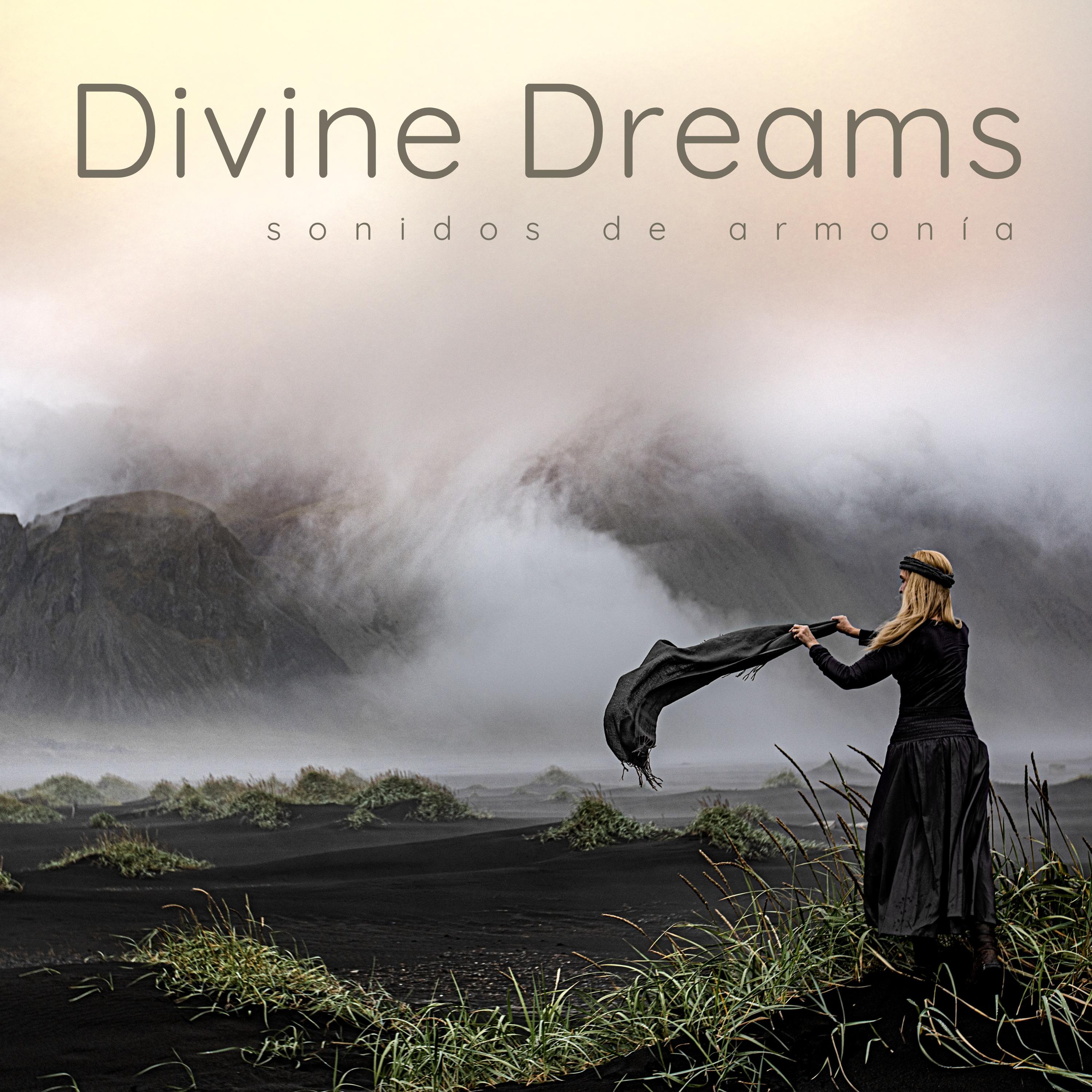 Постер альбома Divine Dreams