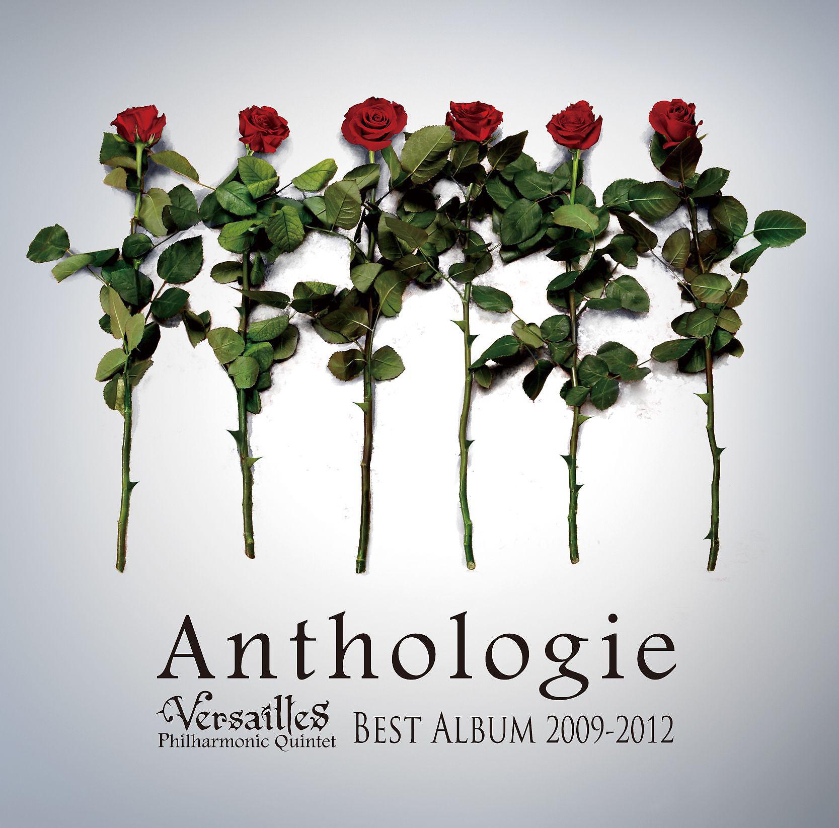 Постер альбома BEST ALBUM 2009-2012 Anthologie