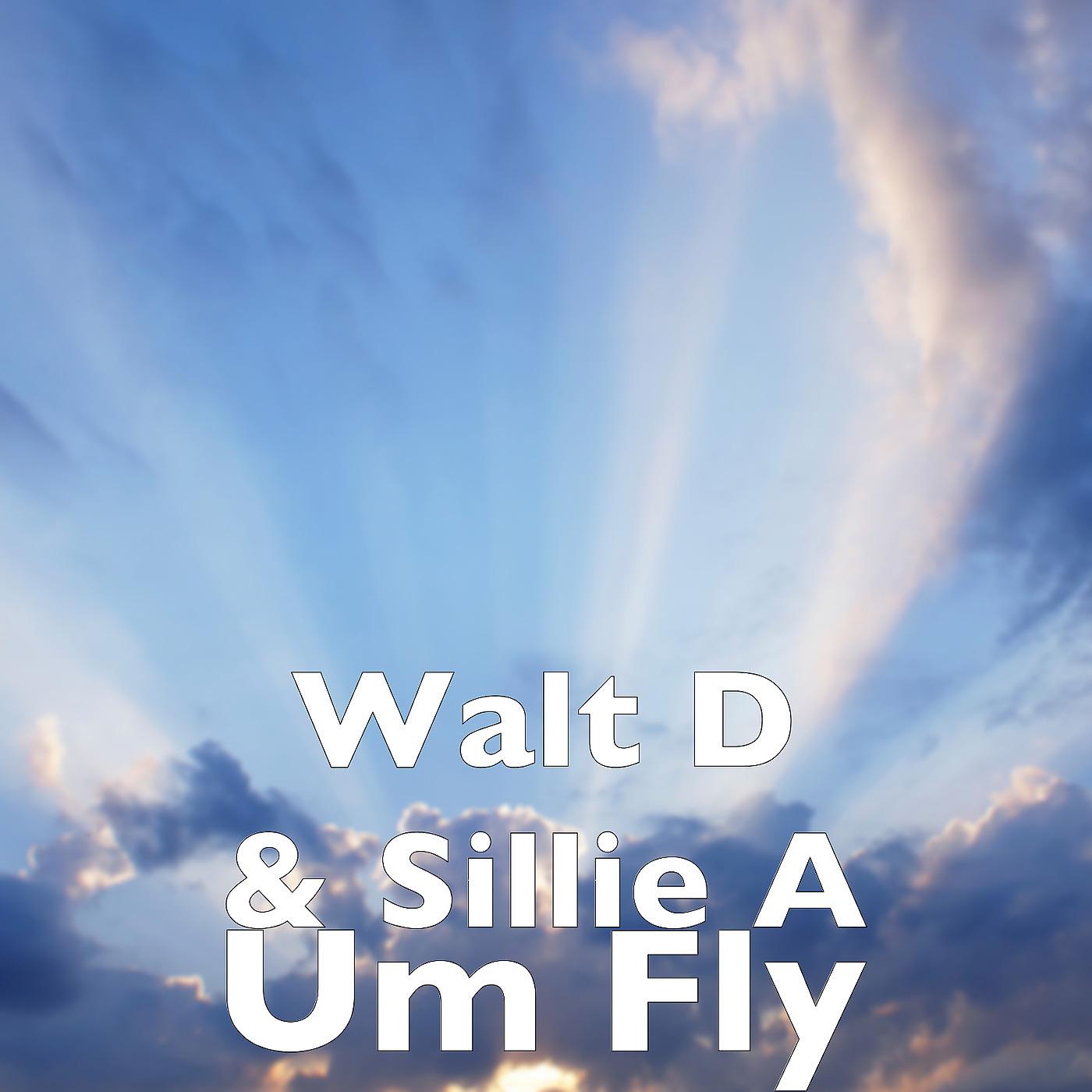 Постер альбома Um Fly