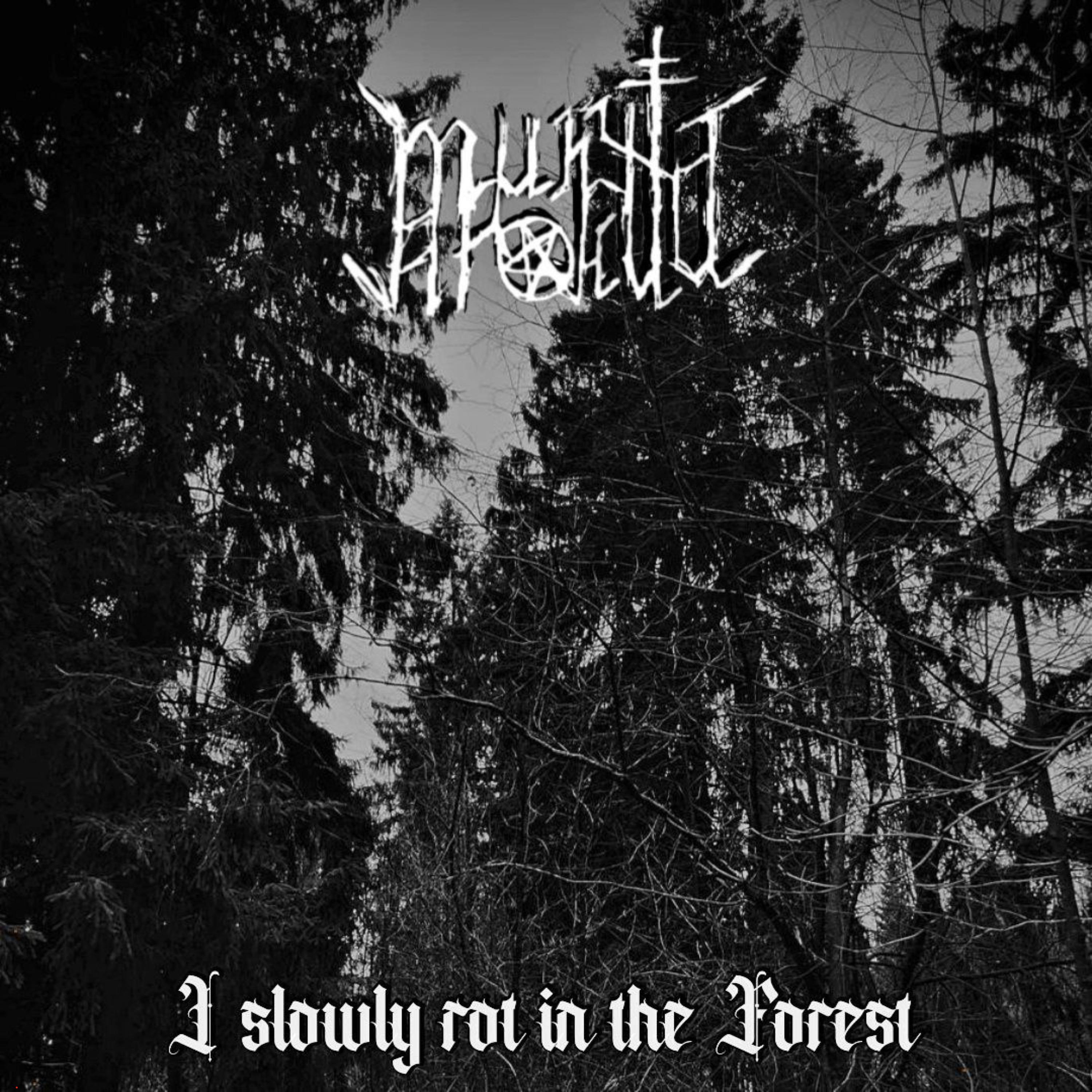 Постер альбома I slowly rot in the Forest